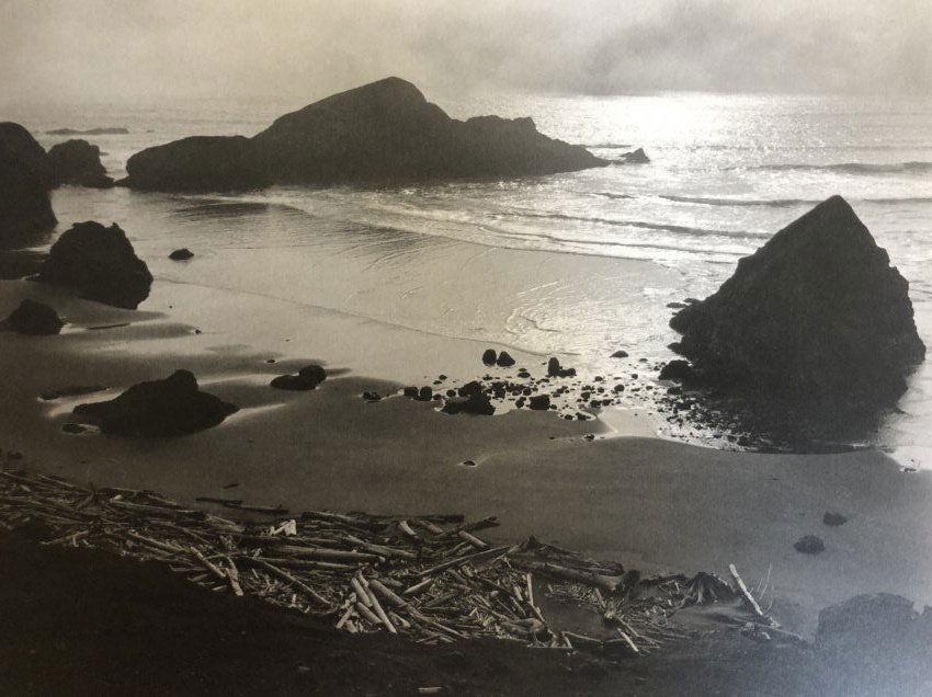 Edward Weston - Oregon Coast, 1939 (1 of 1)