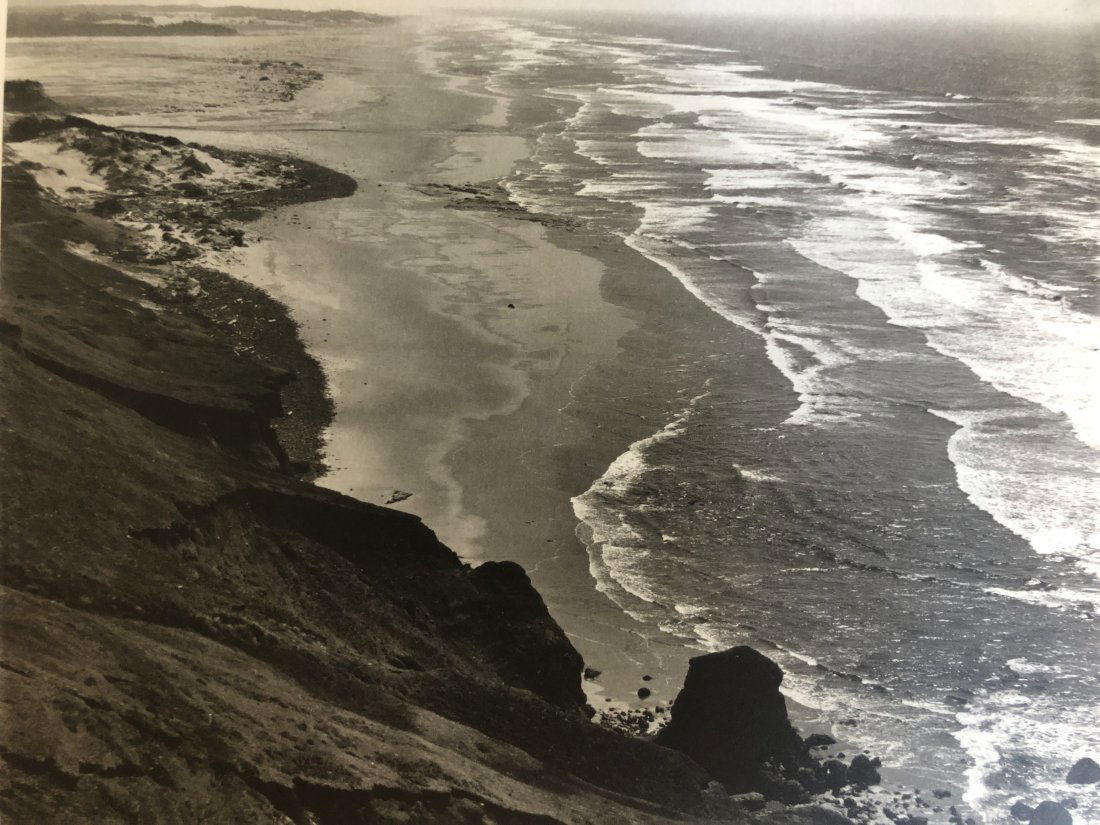 Edward Weston - Oregon, 1939 (1 of 1)