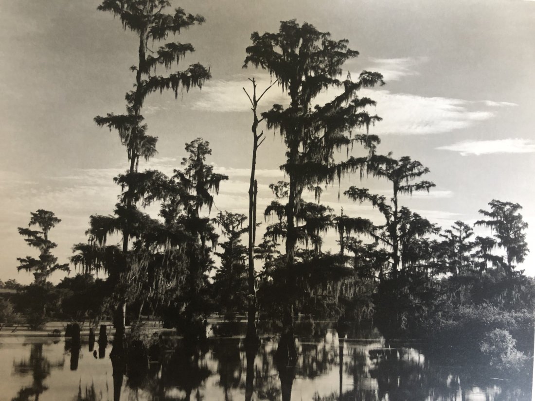 Edward Weston - Louisiana, 1941: EDWARD WESTON (B.1886-1958) Louisiana, 1941 Photo-Litho 7.5" x 9.5"