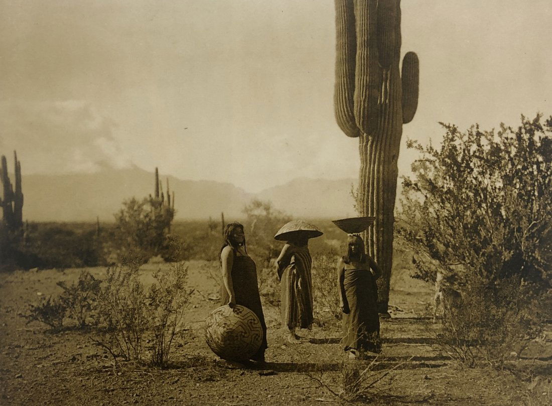 Edward Curtis - Maricopa gathering saguaro fruit, 1907 (1 of 1)