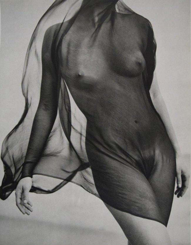 Herb Ritts - Nude , Veiled Torsso , 1984: HERB RITTS ( 1952-2002) Nude , Veiled Torsso , 1984 Sheet fed gravure C. 1988 Printed in Japan 14" x 11"