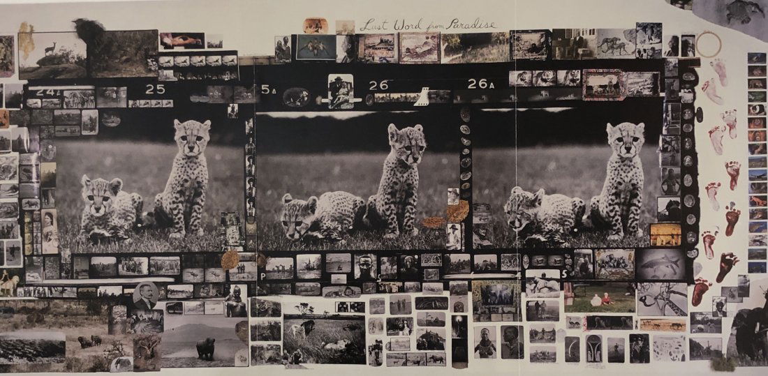 Peter Beard - Orphan Cheetah Triptych, 1968: PETER BEARD (1938-2020) Orphan Cheetah Triptych, 1968 Photo-litho 14 1/2" x 29 1/2"
