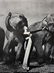 Richard Avedon - Dovima, Elephants, Paris Photograph