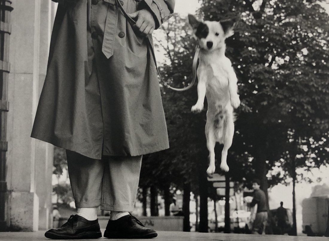 Elliott Erwitt - Paris, France (Dog Jumping), 1989: ELLIOTT ERWITT (B. 1928) Paris, France (Dog Jumping), 1989 Photo-litho 7" x 9 1/2"