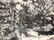Gerhard Richter - Israel Musuem, 1995, Hand Signed - 2