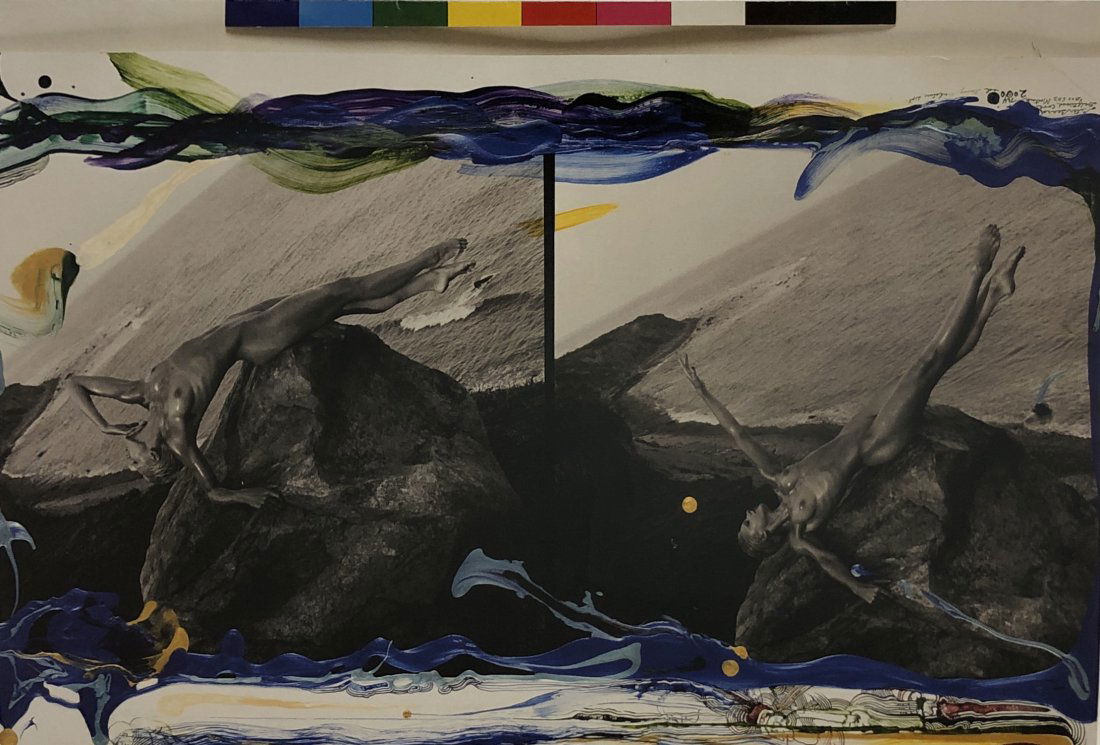 Peter Beard - Driftwood Cove, 2000: PETER BEARD (1938-2020) Driftwood Cove, 2000 Photo-litho mounted on deckle edge paper 14" x 19" sheet; image: 10" x 14 5/8"