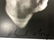 Chuck Close - Self-Portrait, Five Part, Hand Signed - 5