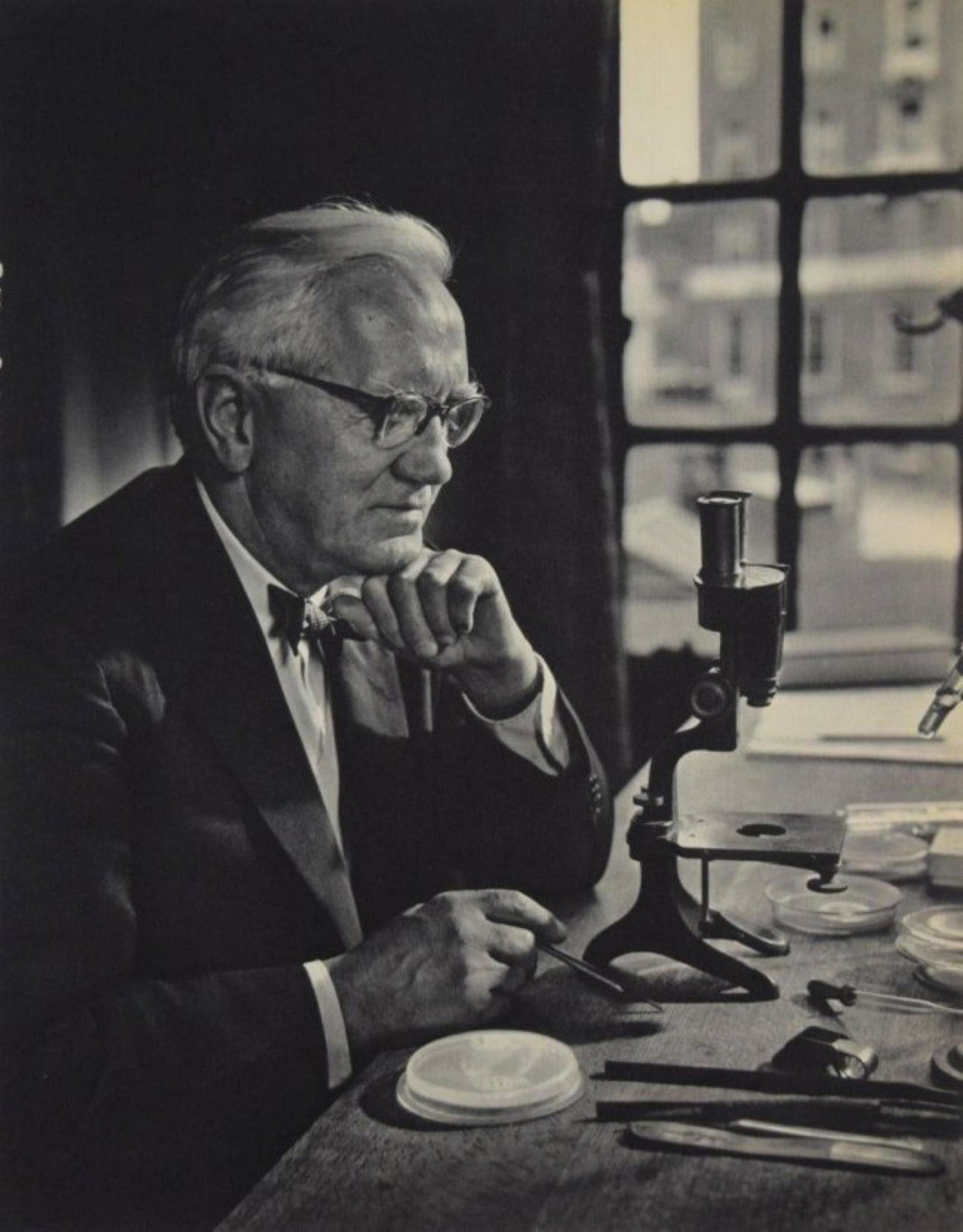 Yousuf Karsh - Sir Alexander Fleming: YOUSUF KARSH (1908-2002) Sir Alexander Fleming Sheet-fed gravure, 1959 Printed in The Netherlands 12" x 9"