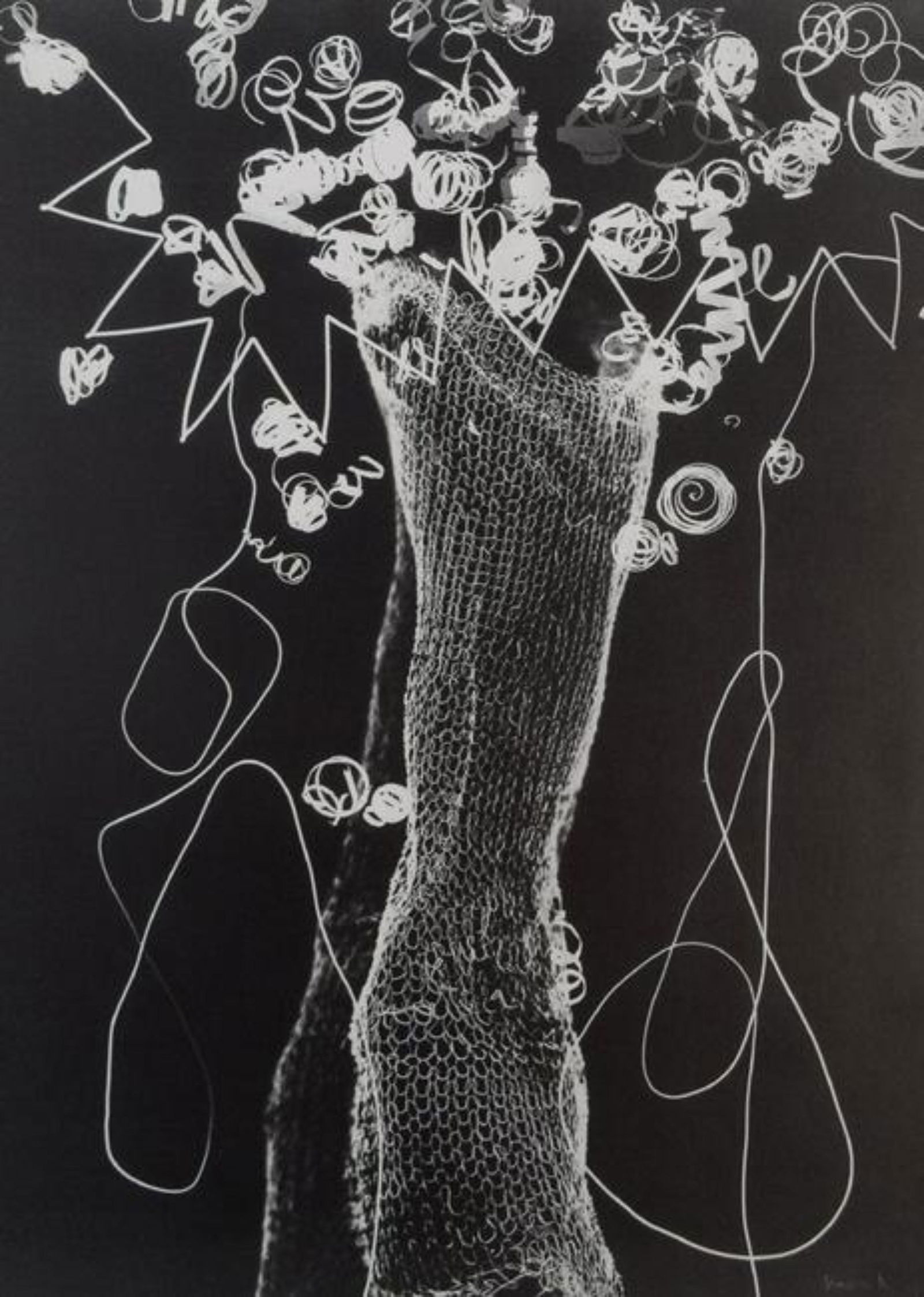 Man Ray - Rayograph, 1926: MAN RAY (1890-1976) Rayograph, 1926 Sheet-fed gravure 10 3/8" x 8"