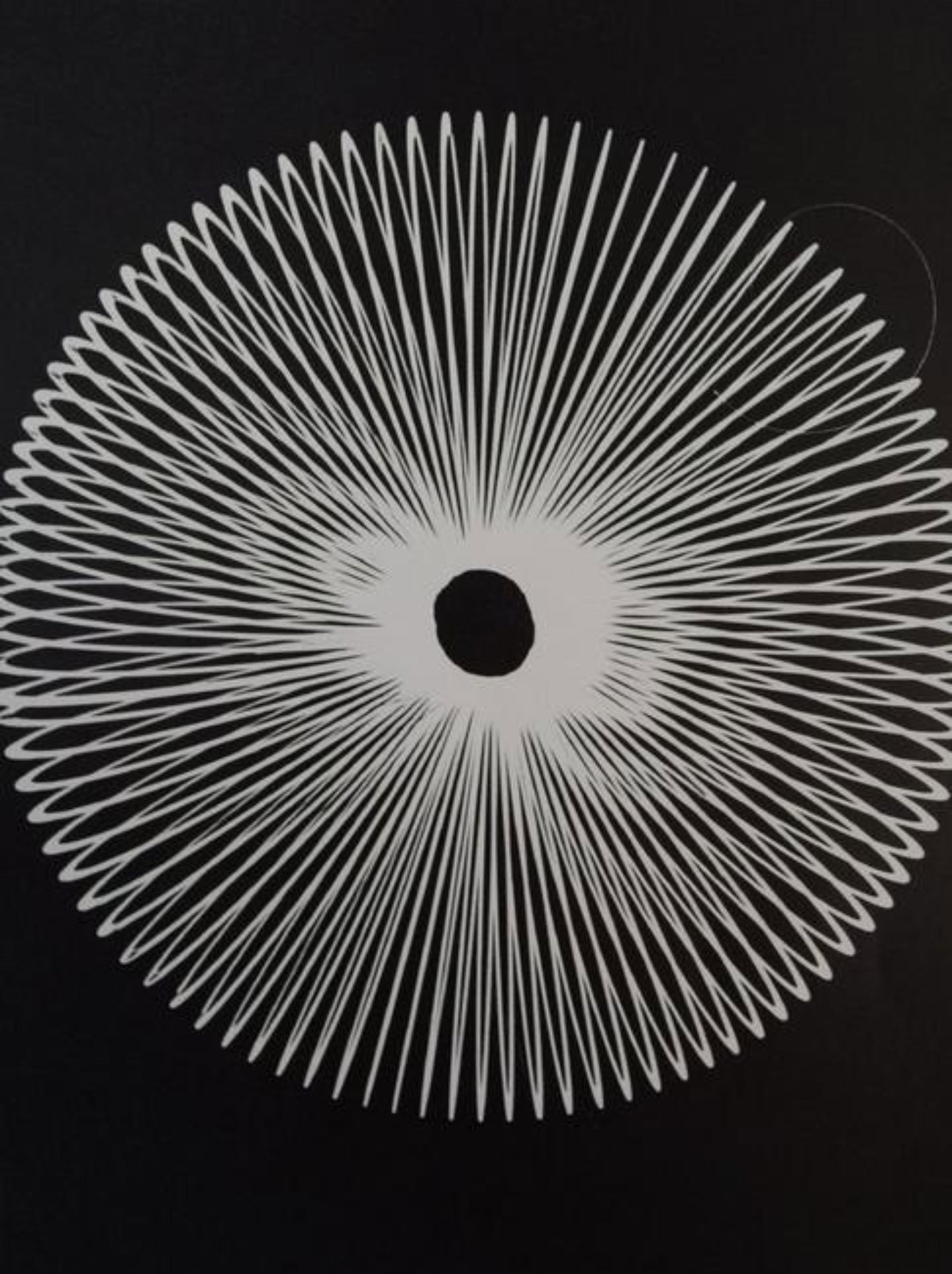 Man Ray - Rayograph: MAN RAY (1890-1976) Rayograph Sheet-fed gravure 10 3/8" x 8"