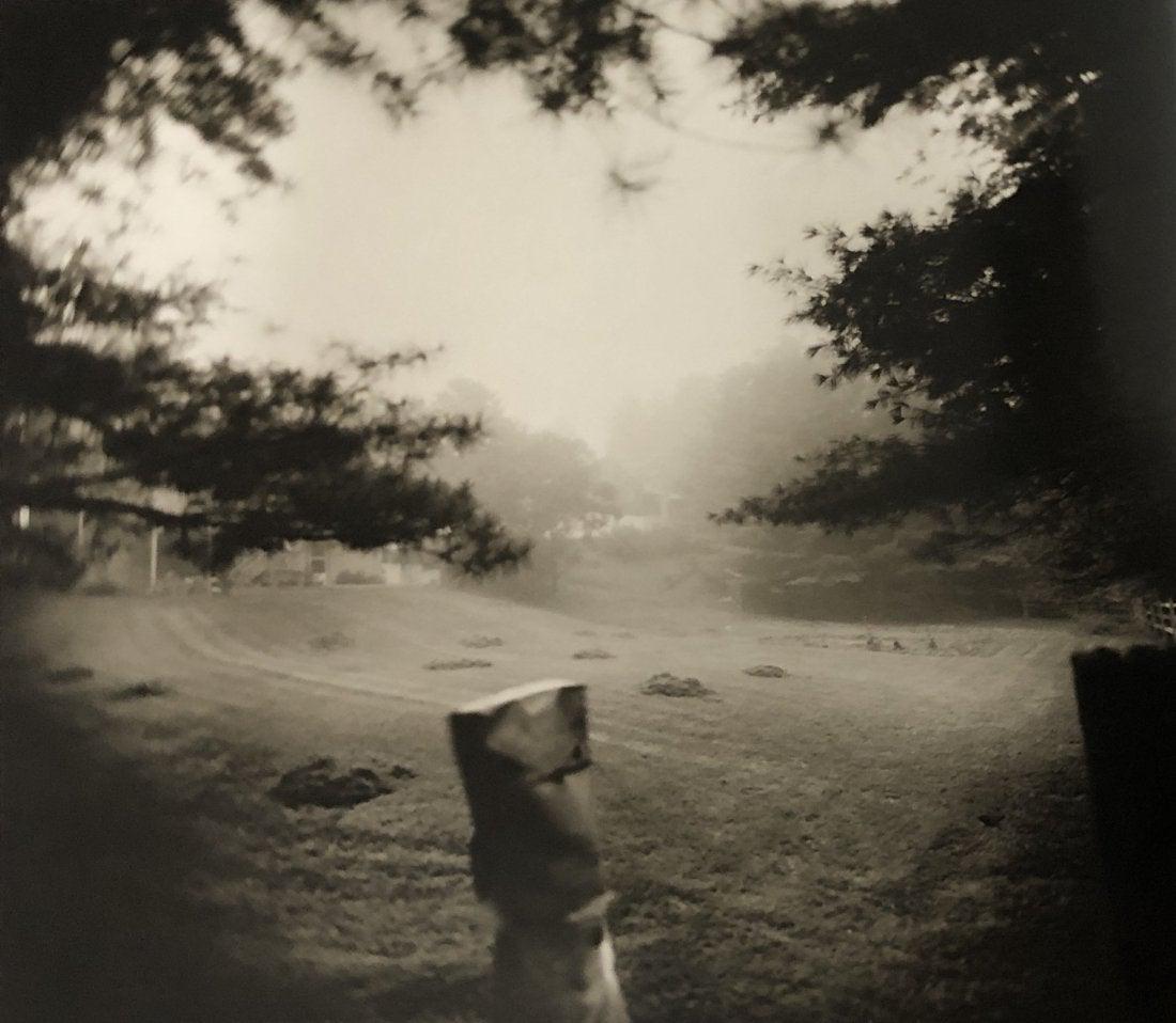 Sally Mann - Emmett at Halloween, 1988: SALLY MANN (B.1951) Emmett at Halloween,1988 Photo-litho 8" x 10"