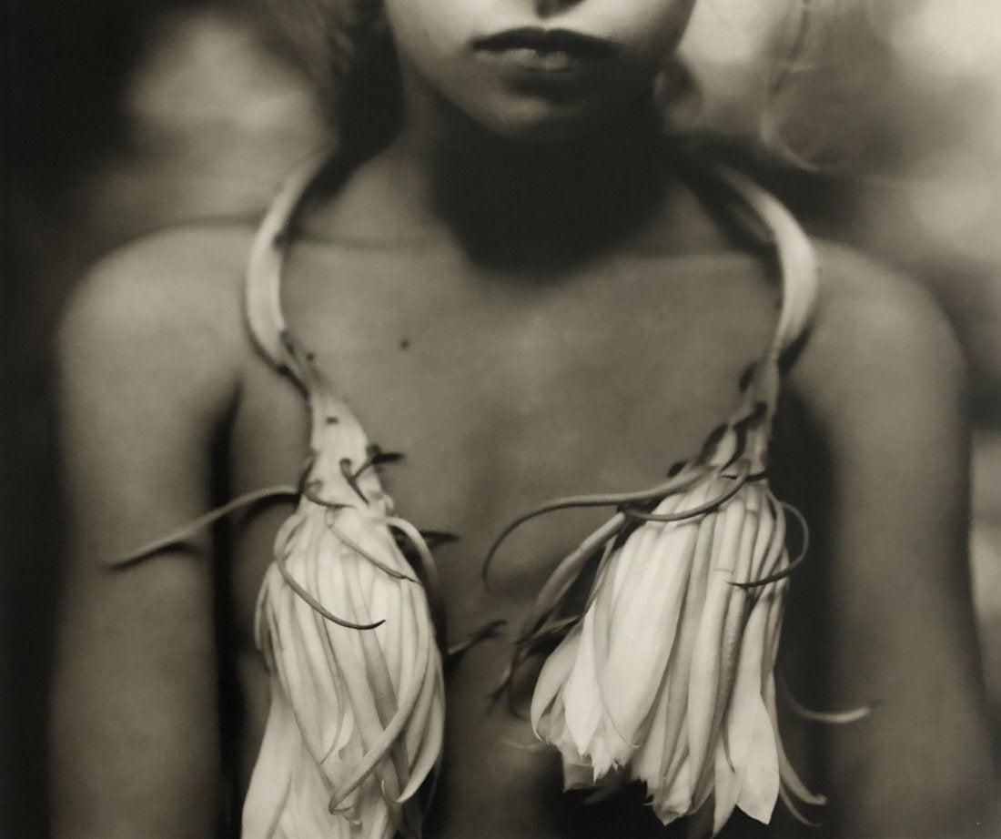 Sally Mann - Night-blooming Cereus, 1988: SALLY MANN (B.1951) Night-blooming Cereus, 1988 Photo-litho 8" x 10"