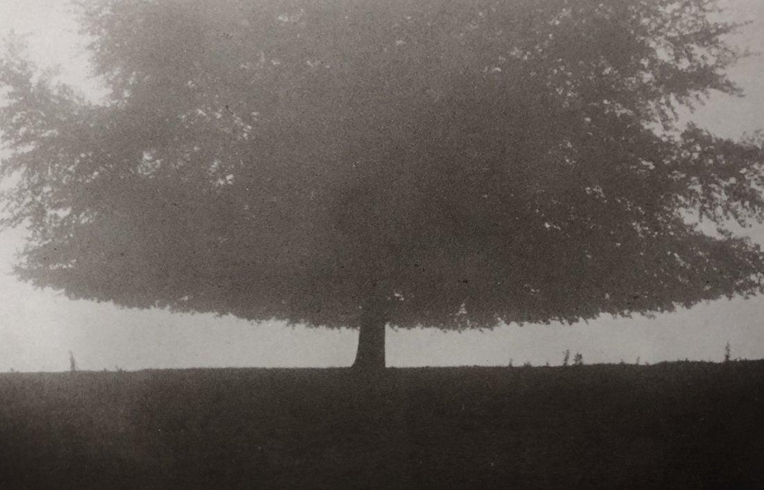 Jock Sturges- Vanessa; Tuscany, Italy, 1999: JOCK STURGES (B.1947) Vanessa; Tuscany, Italy, 1999 Photo-litho 8.5" x 11"