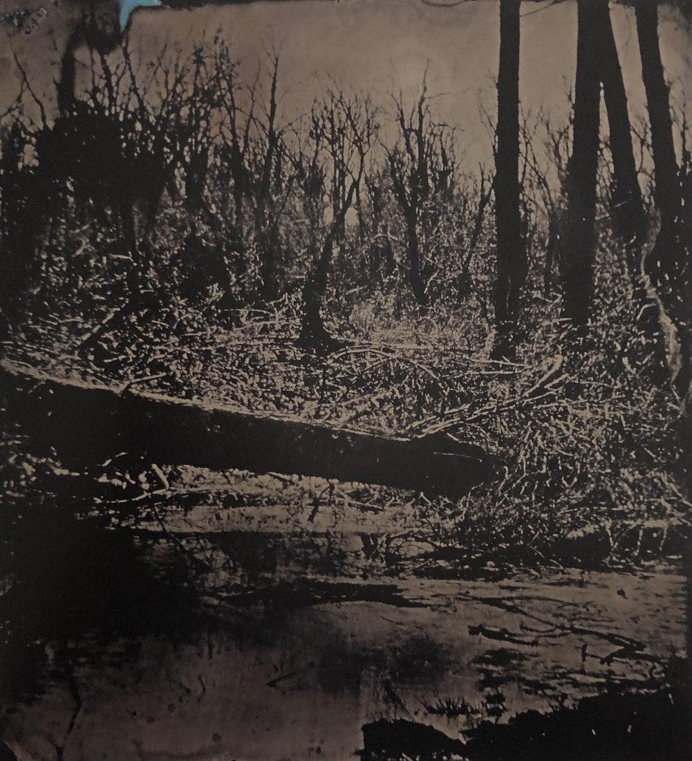 Jock Sturges- Catherine;Block Island, Rhode Island,1983: JOCK STURGES (B.1947) Catherine; Block Island, Rhode Island, 1983 Photo-litho 9.5" x 7.5"