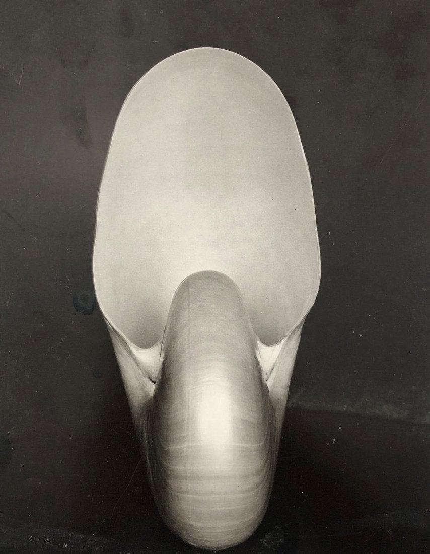 Edward Weston - Shell, photo-litho, c. mid 20th century: EDWARD WESTON (1886-1958) Shell Photo-Litho, printed c. mid/later half of 20th century 9 1/4" x 7 1/4"