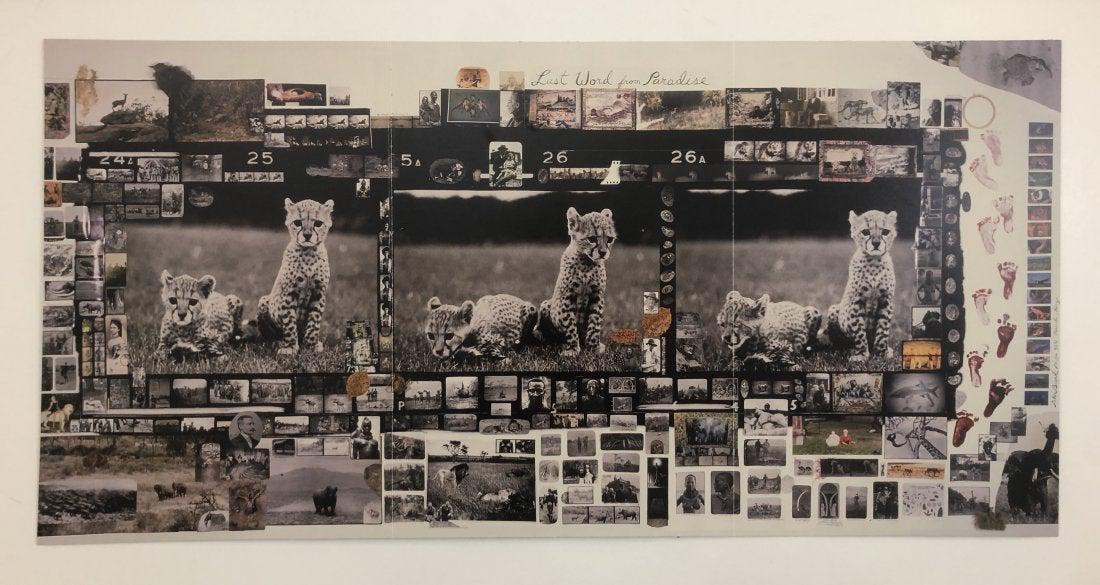 Peter Beard - Orphan Cheetah Triptych Photo-Litho: PETER BEARD (1938-2020) Orphan Cheetah Triptych Photo-litho Printed circa late 20th century 14 1/2" x 29 1/2"