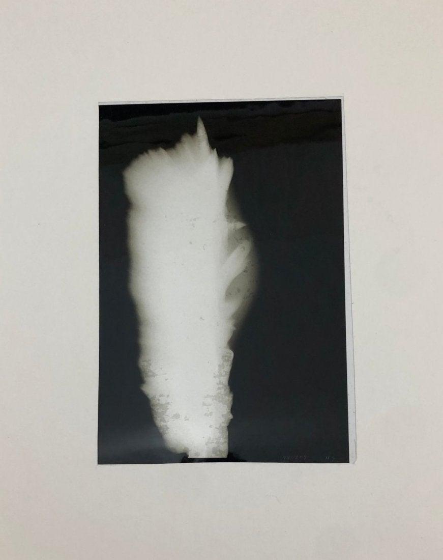 Hiroshi Sugimoto - In Praise of Shadow, 1998 (Acetate): HIROSHI SUGIMOTO (B. 1948) In Praise of Shadow, 1998 Acetate film mounted to paper from a limited edition 8 1/4" x 5 1/4" image Signed in the image lower right and numbered