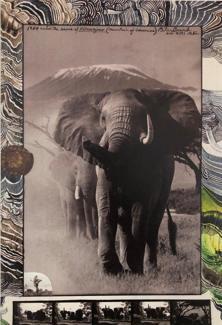 Peter Beard - Kilimanjaro Elephants, Photo-Litho: PETER BEARD (1938-2020) Kilimanjaro Elephants, 1984 Photo-litho Printed circa late 20th c. 14 1/2" x 10"