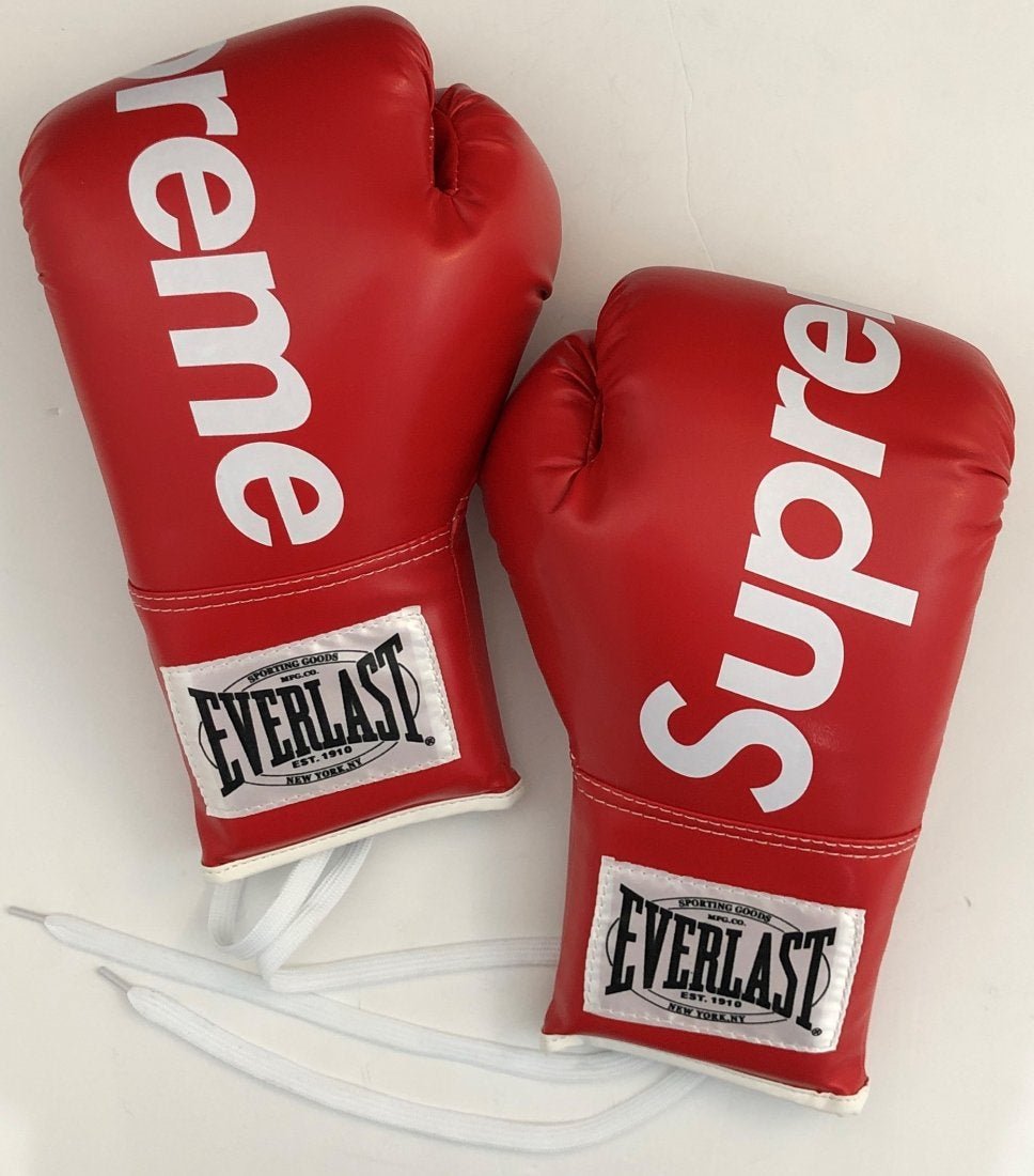 supreme everlast gloves