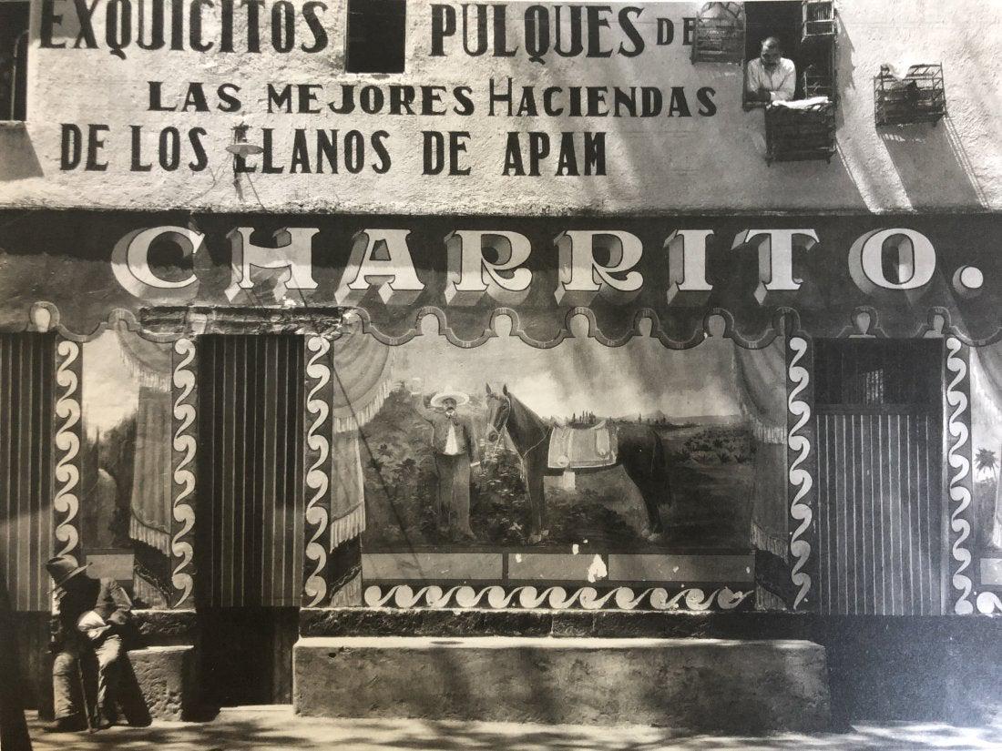 Edward Weston - Charrito (Pulqueria), Mexico, 1926 (1 of 1)