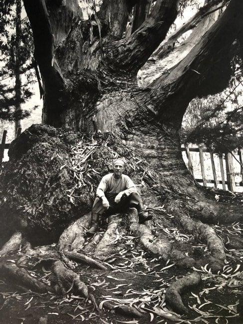 Ansel Adams - Edward Weston, California 1945 (1 of 1)