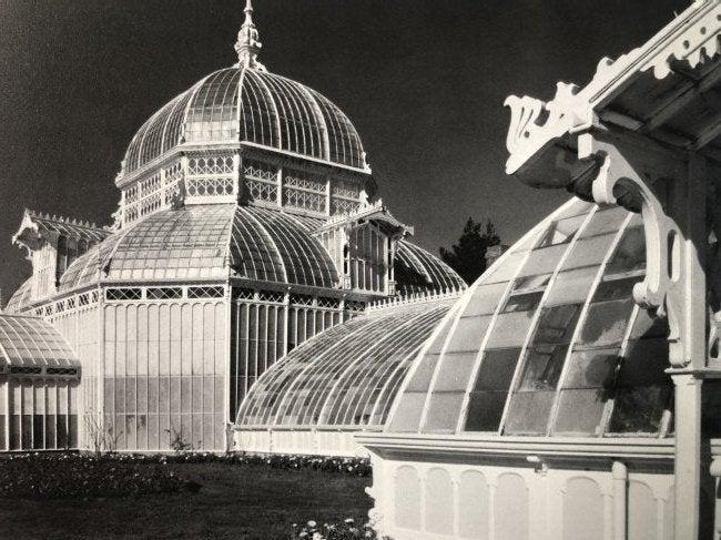 Ansel Adams - Conservatory, California 1962 (1 of 1)