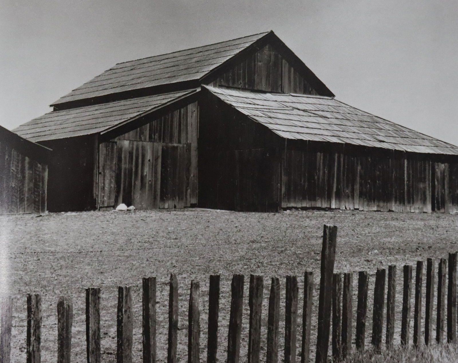 Edward Weston - Photo-Litho, 20th c. (1 of 1)