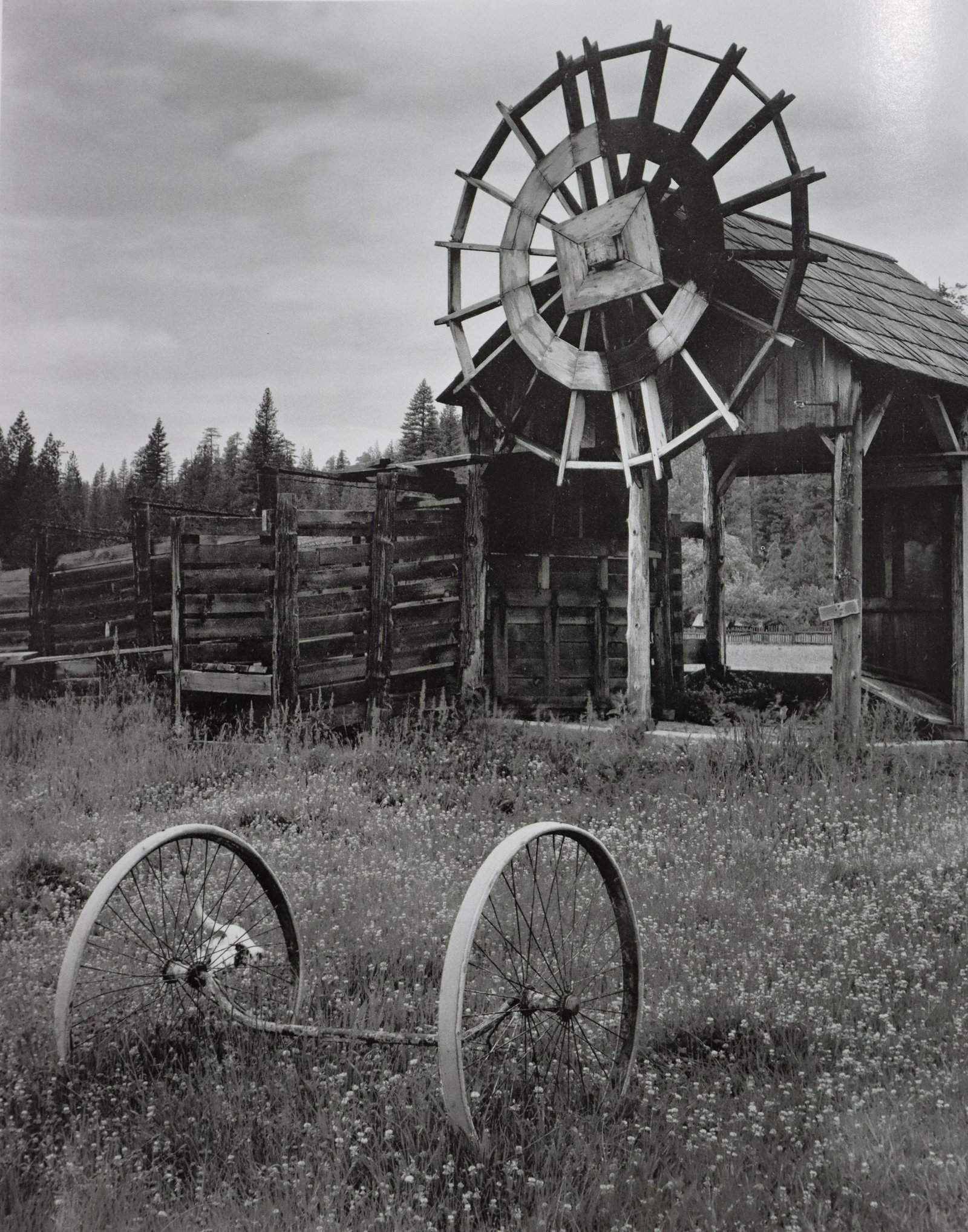 Edward Weston - Photo-Litho, 20th c.: EDWARD WESTON (B.1886-1958) Photo-Litho 7 1/2" x 9 1/2" Printed circra third quarter of 20th Century