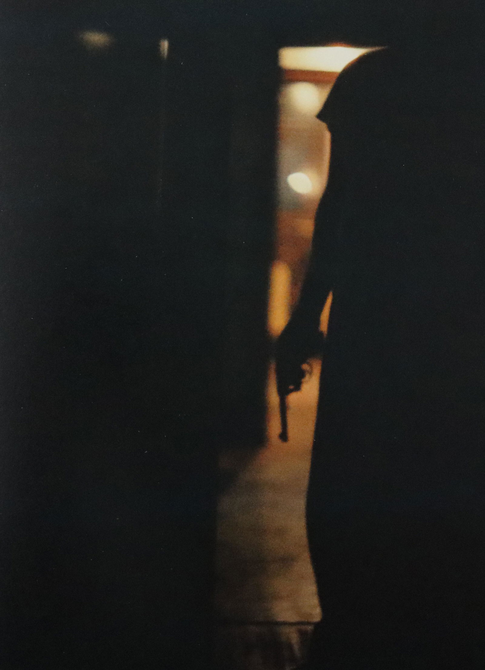 Gordon Parks - Crime in Chicago, Photo-Litho (1 of 1)