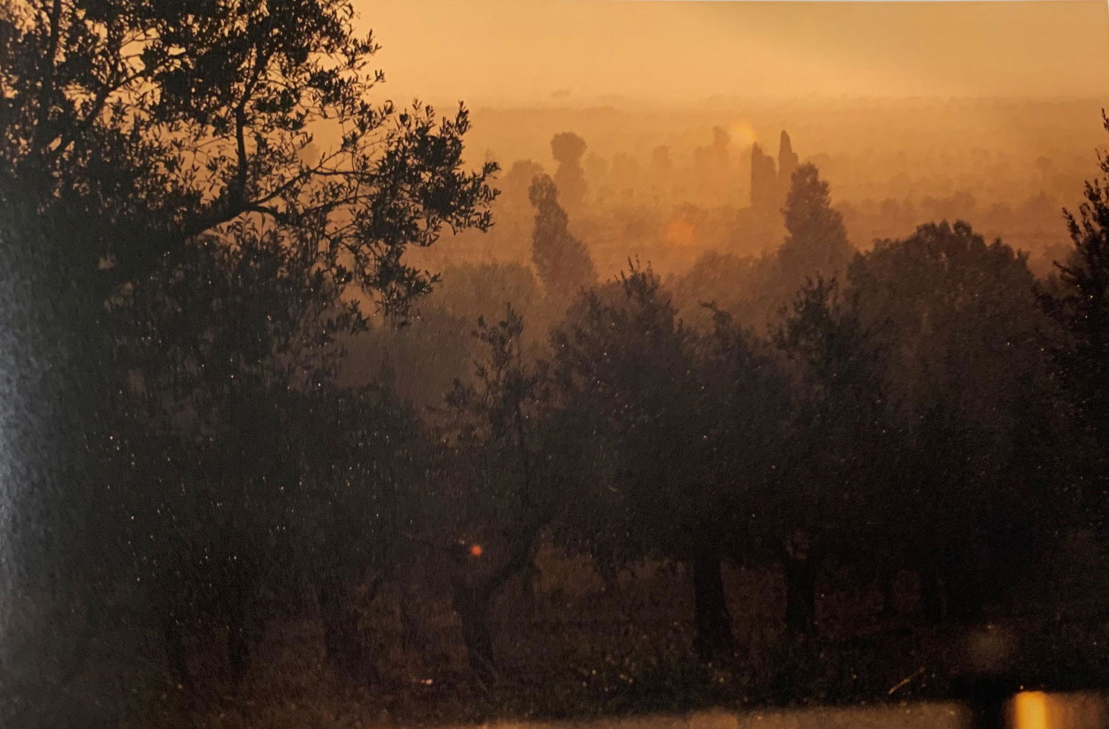 Gordon Parks - Untitled, Photo-Litho (1 of 1)