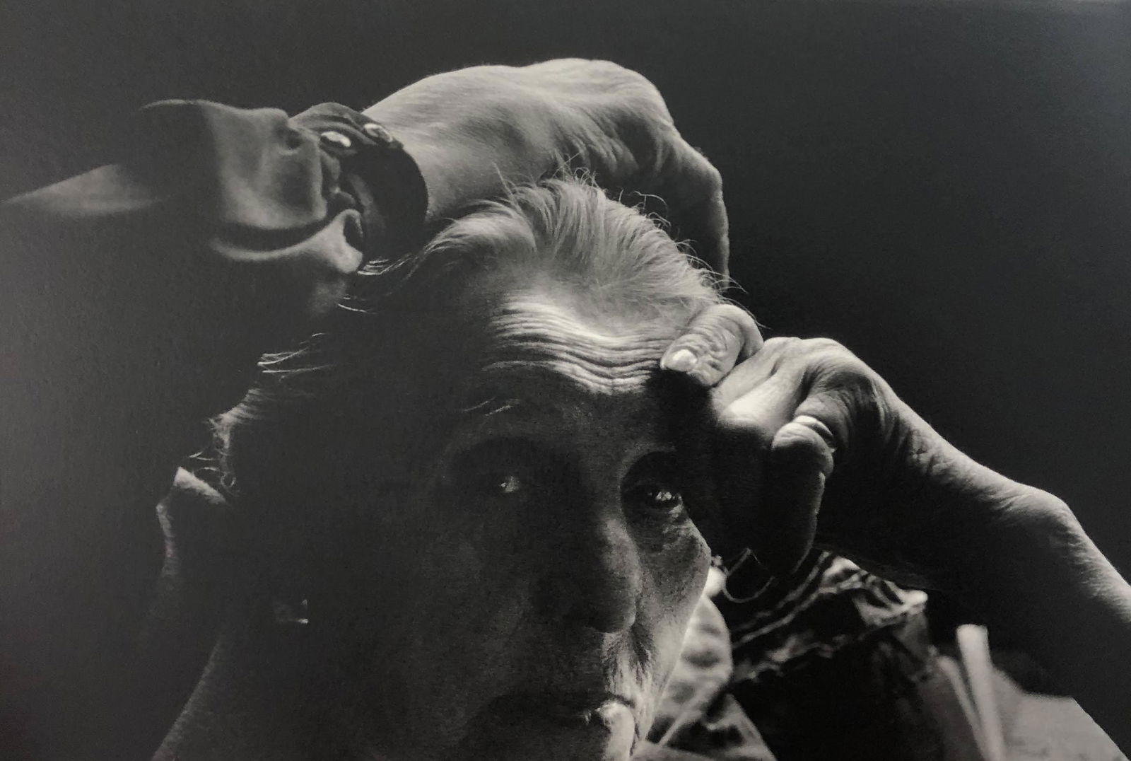 Bruce Davidsons - Widow of Montmartre, Photo-Litho: BRUCE DAVIDSON - (B. 1946) The Widow of Montmartre Photo-Litho Printed circa later third quarter 20th century 6 3/8" x 9 5/8" (Image Size)