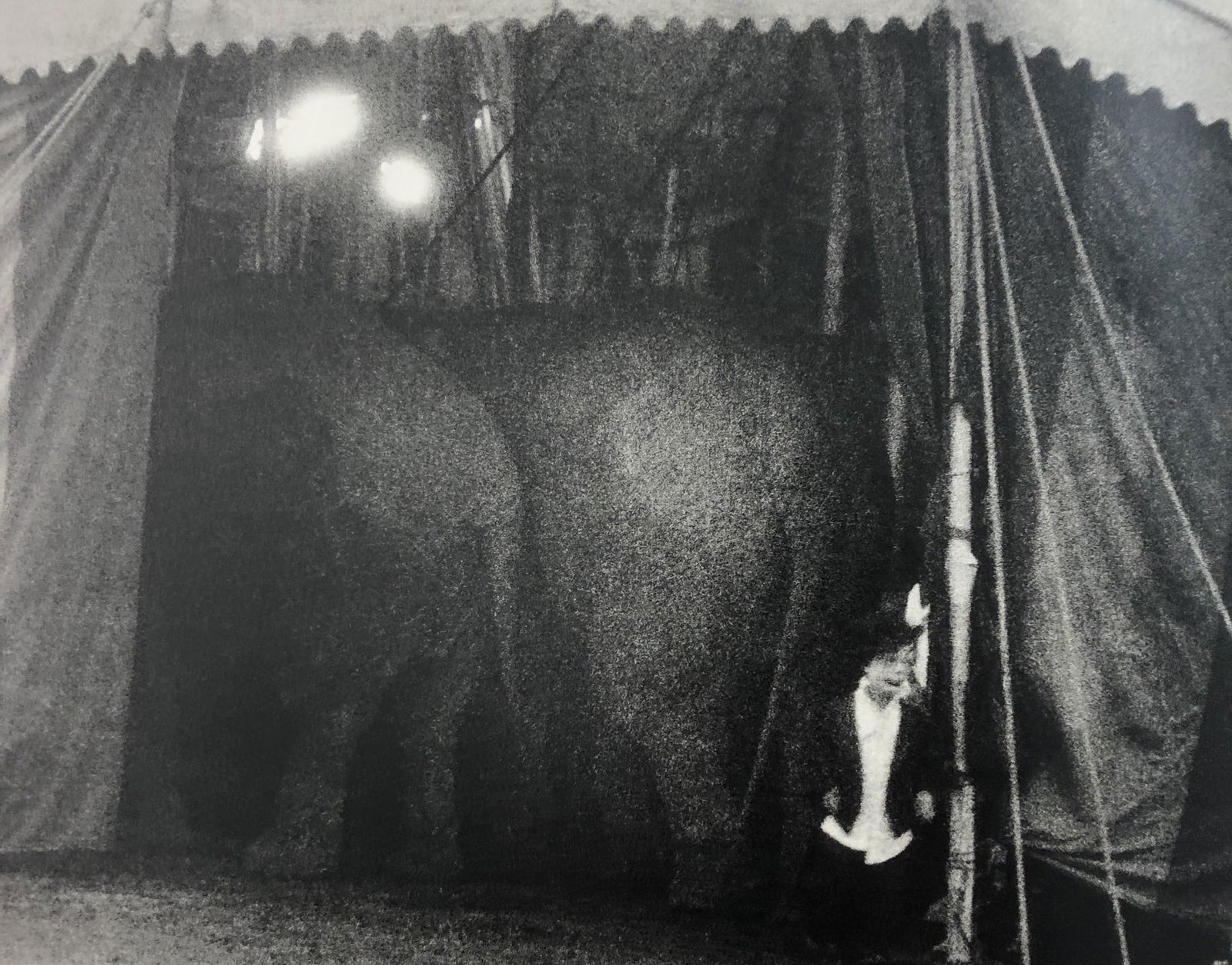 Bruce Davidsons - Cycle Beatty Circus, Photo-Litho: BRUCE DAVIDSON - (B. 1946) The Dwarf and the Clyde Beatty Circus Photo-Litho Printed circa later third quarter 20th century 7 1/4" x 9 5/8" (Image Size)