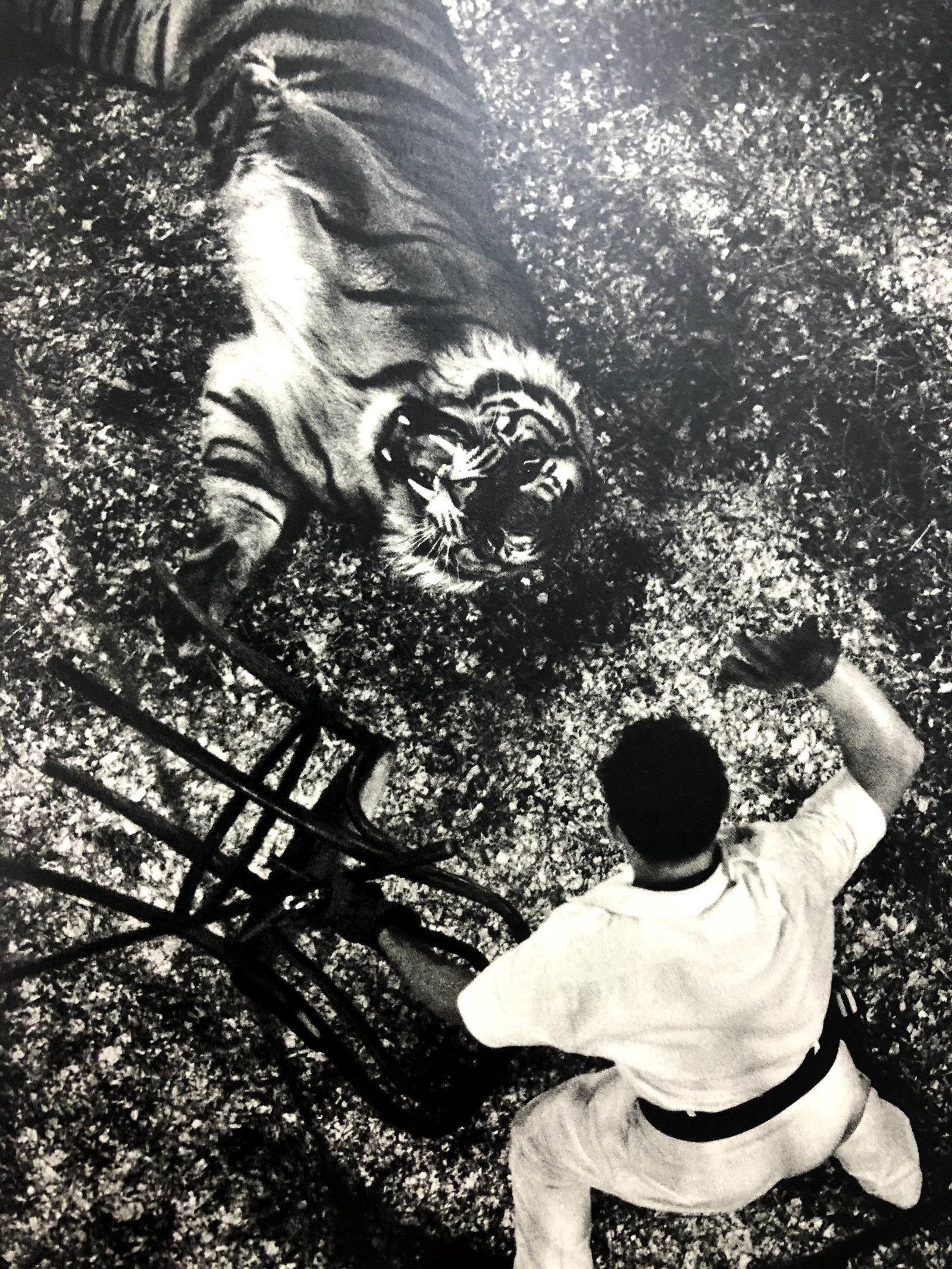 Bruce Davidsons - Cycle Beatty Circus, Photo-Litho: BRUCE DAVIDSON - (B. 1946) The Dwarf and the Clyde Beatty Circus Photo-Litho Printed circa later third quarter 20th century 9 1/8" x 6 1/8" (Image Size)