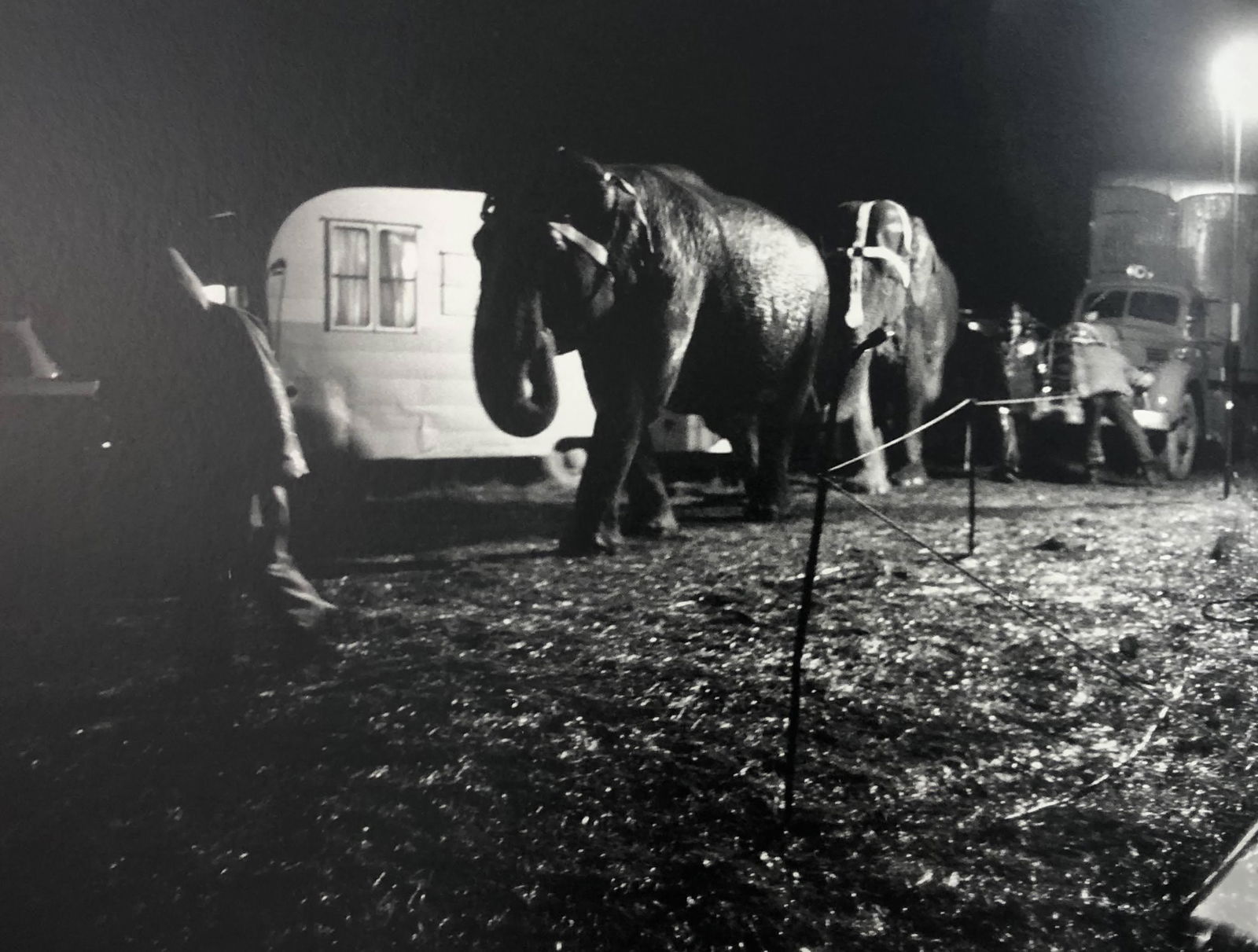 Bruce Davidsons - Cycle Beatty Circus, Photo-Litho: BRUCE DAVIDSON - (B. 1946) The Dwarf and the Clyde Beatty Circus Photo-Litho Printed circa later third quarter 20th century 6 3/8" x 9 5/8" (Image Size)