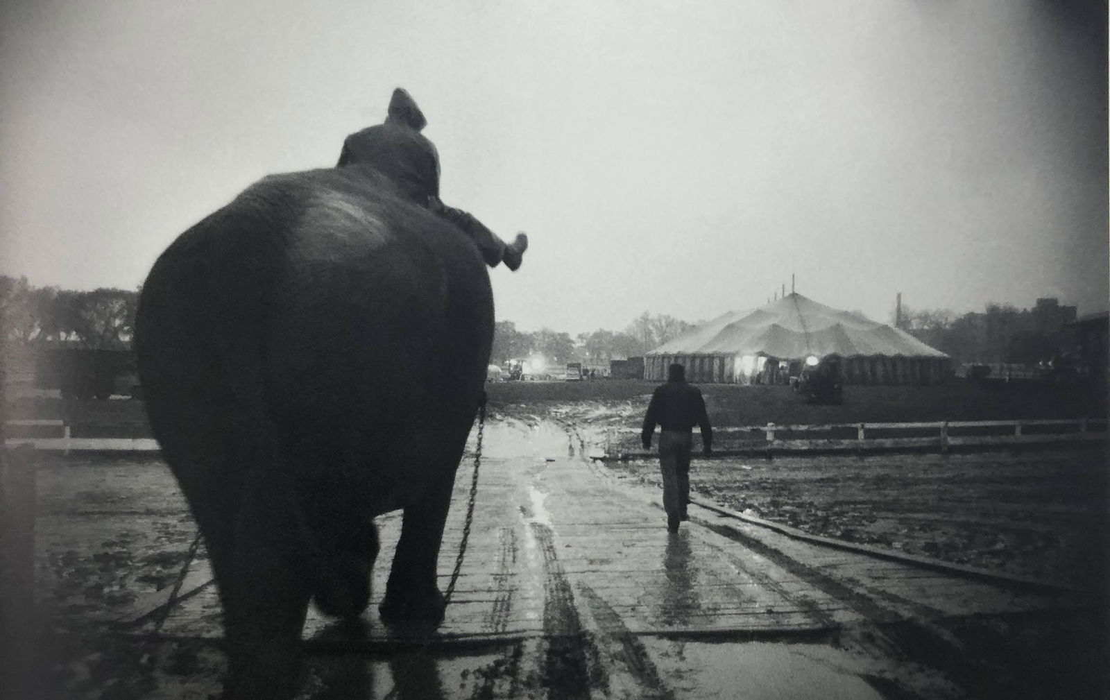 Bruce Davidsons - Cycle Beatty Circus, Photo-Litho: BRUCE DAVIDSON - (B. 1946) The Dwarf and the Clyde Beatty Circus Photo-Litho Printed circa later third quarter 20th century 6 3/8" x 9 5/8" (Image Size)