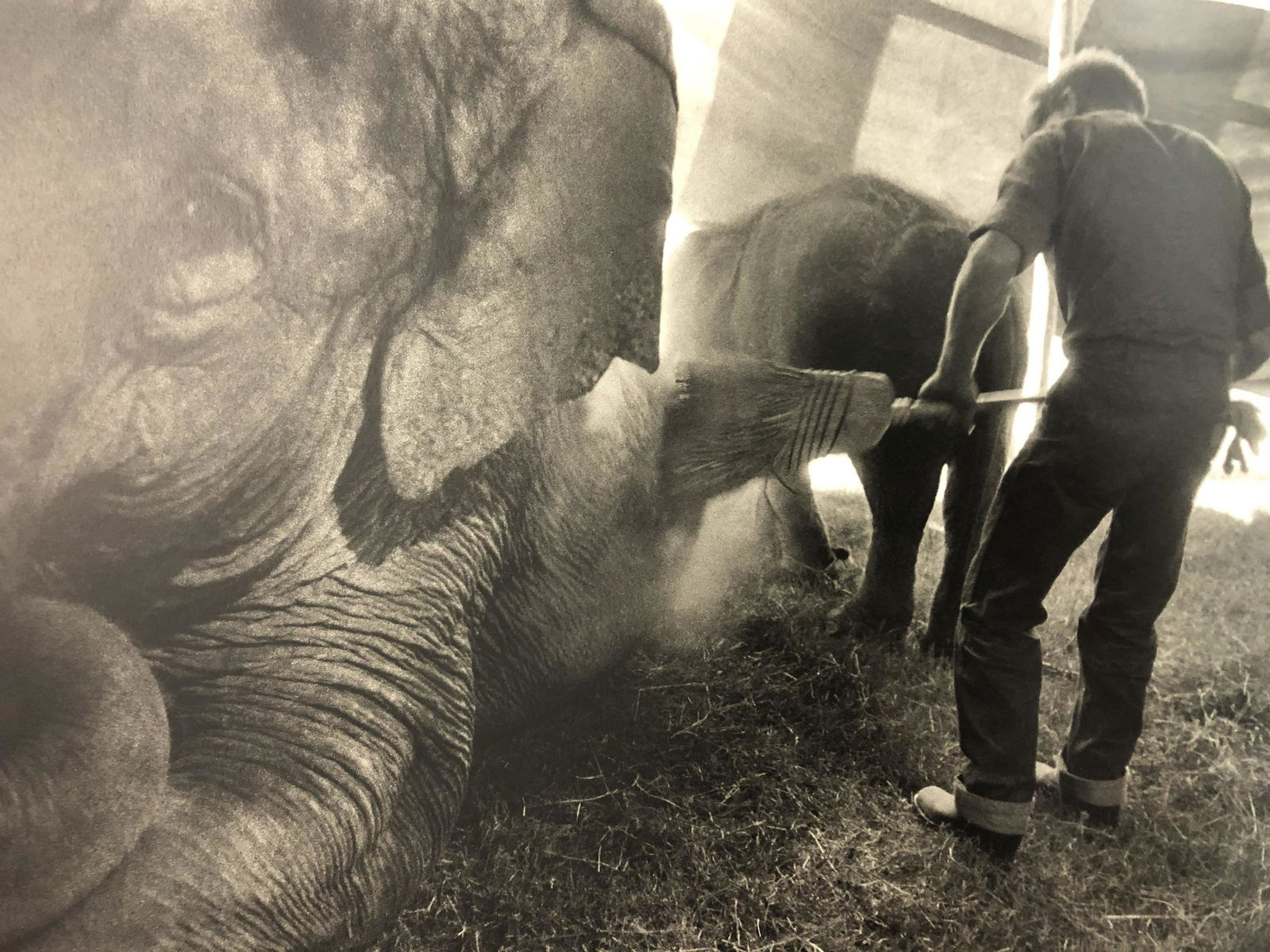 Bruce Davidsons - Cycle Beatty Circus, Photo-Litho: BRUCE DAVIDSON - (B. 1946) The Dwarf and the Clyde Beatty Circus Photo-Litho Printed circa later third quarter 20th century 6 3/8" x 9 5/8" (Image Size)