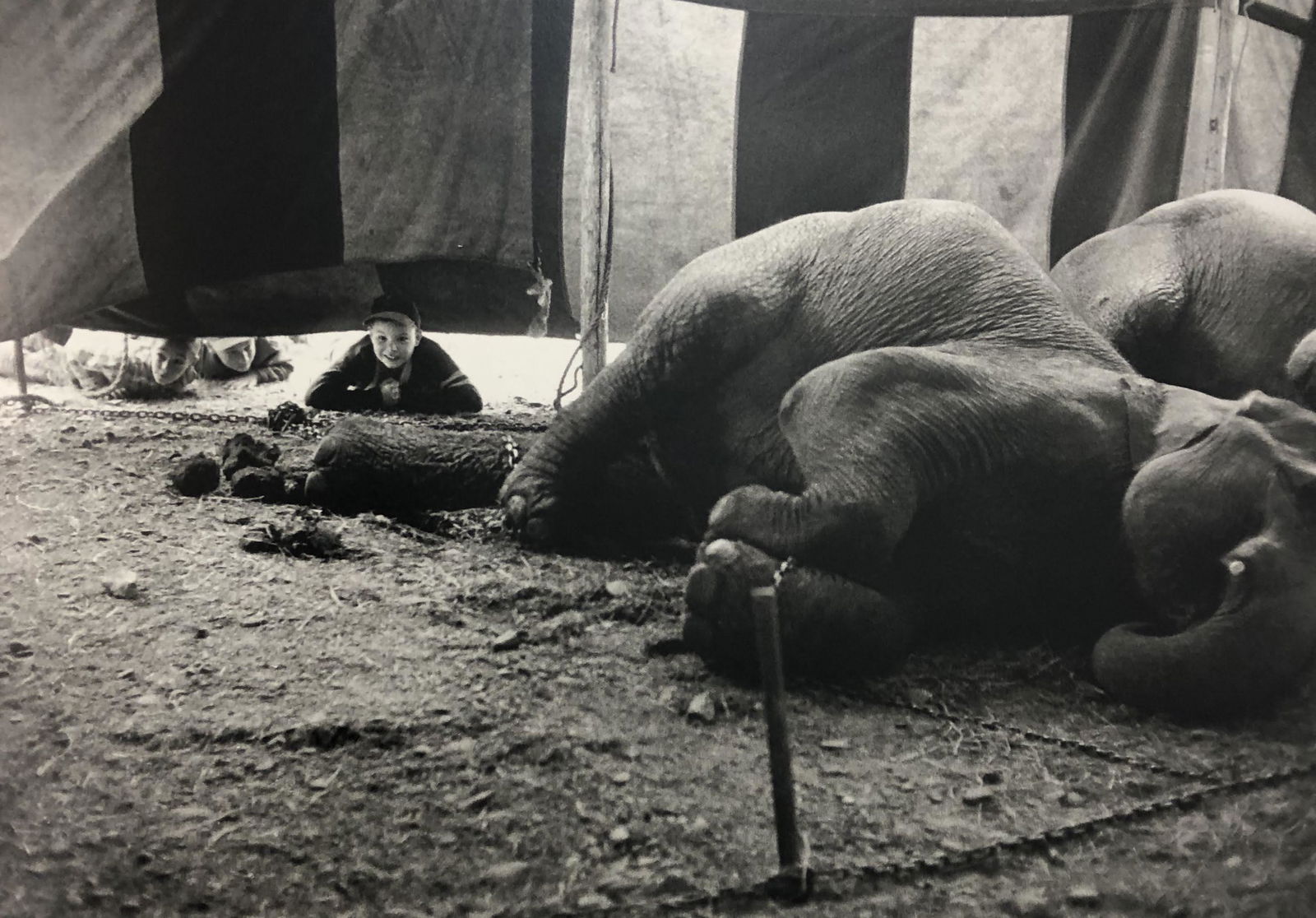 Bruce Davidsons - Cycle Beatty Circus, Photo-Litho: BRUCE DAVIDSON - (B. 1946) The Dwarf and the Clyde Beatty Circus Photo-Litho Printed circa later third quarter 20th century 6 3/8" x 9 5/8" (Image Size)