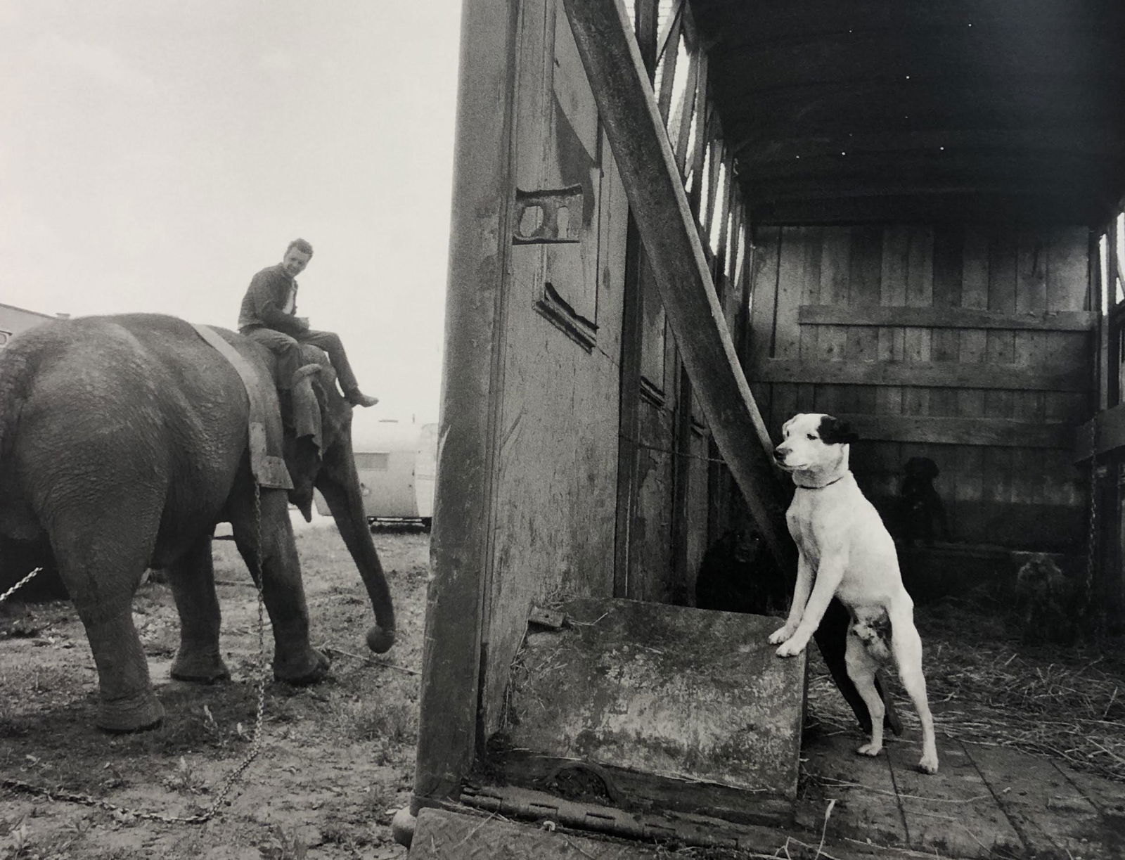 Bruce Davidsons - Cycle Beatty Circus, Photo-Litho: BRUCE DAVIDSON - (B. 1946) The Dwarf and the Clyde Beatty Circus Photo-Litho Printed circa later third quarter 20th century 6 3/8" x 9 5/8" (Image Size)