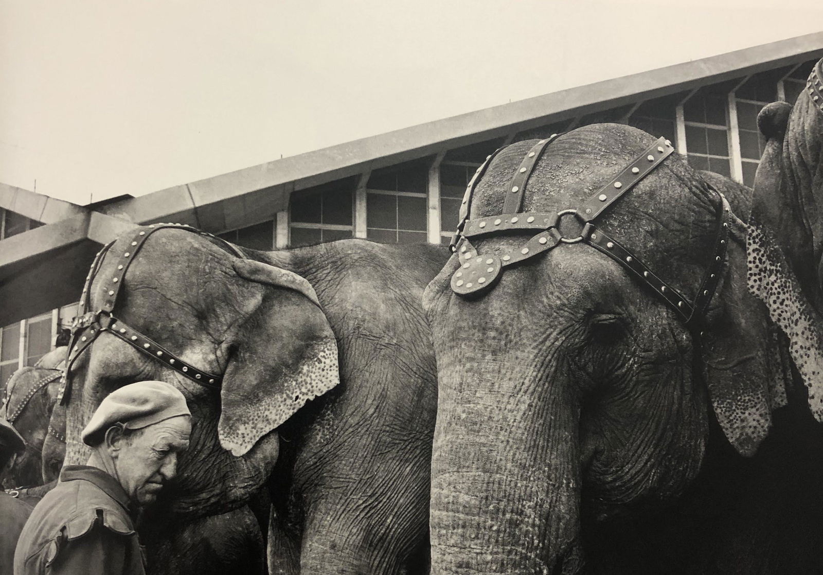 Bruce Davidsons - Ringling Brothers, Photo-Litho: BRUCE DAVIDSON - (B. 1946) Ringling Brothers and Barnum & Bailey Circus Photo-Litho Printed circa later third quarter 20th century 6 3/8" x 9 5/8" (Image Size)