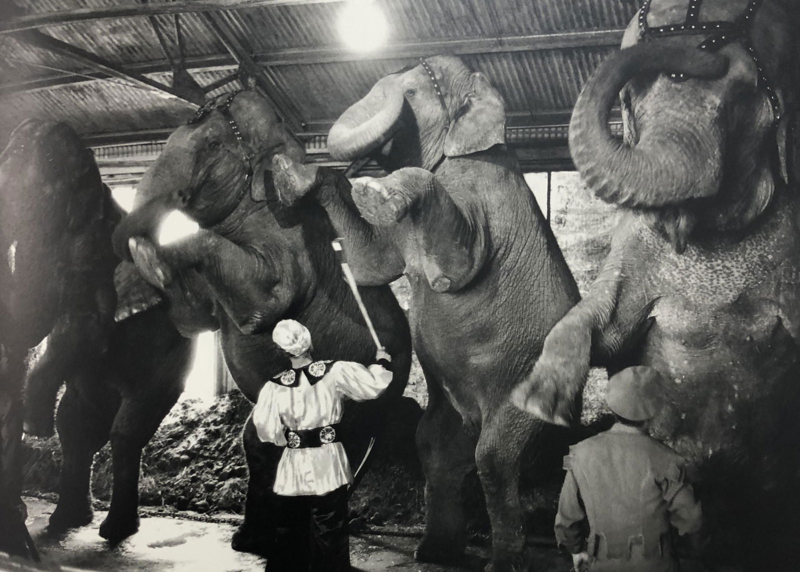 Bruce Davidsons - Ringling Brothers, Photo-Litho: BRUCE DAVIDSON - (B. 1946) Ringling Brothers and Barnum & Bailey Circus Photo-Litho Printed circa later third quarter 20th century 6 3/8" x 9 5/8" (Image Size)