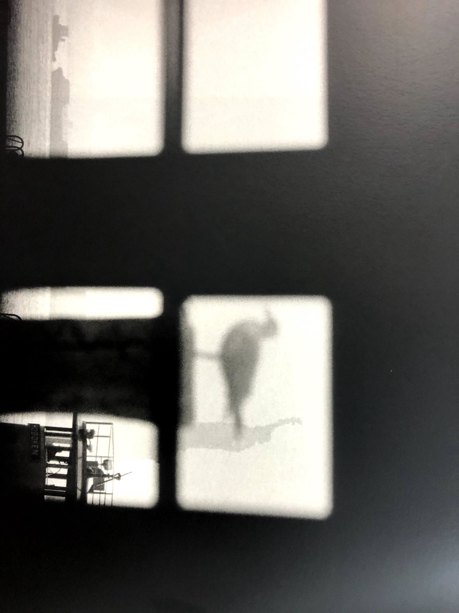 Bruce Davidsons - The Statue of Liberty, Photo-Litho: BRUCE DAVIDSON - (B. 1946) The Statue of Liberty Photo-Litho Printed circa later third quarter 20th century 6 1/2" x 9 5/8" (Image Size)