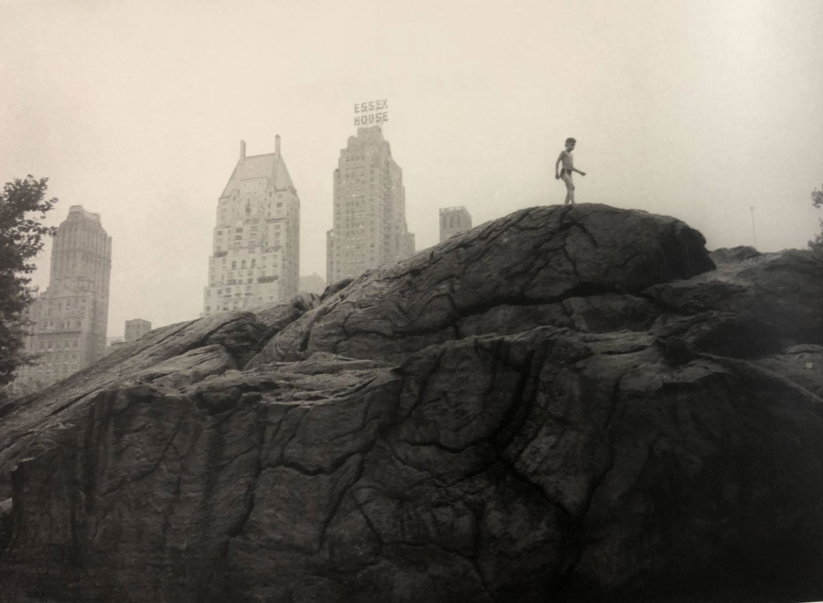 Bruce Davidsons - Central Park, Photo-Litho: BRUCE DAVIDSON - (B. 1946) Central Park Photo-Litho Printed circa later third quarter 20th century 6 3/8" x 9 5/8" (Image Size)