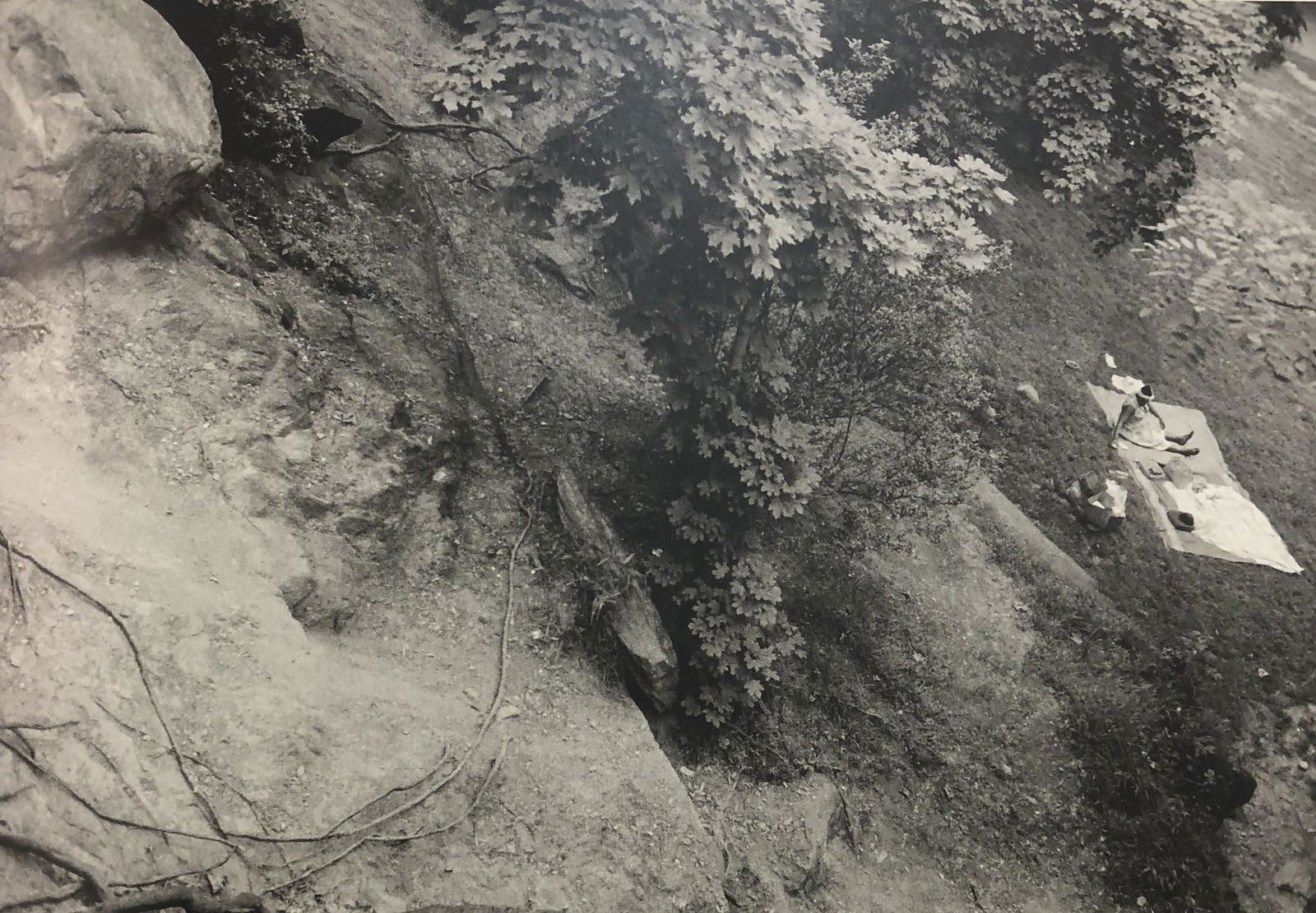 Bruce Davidsons - Central Park, Photo-Litho: BRUCE DAVIDSON - (B. 1946) Central Park Photo-Litho Printed circa later third quarter 20th century 6 3/8" x 9 5/8" (Image Size)