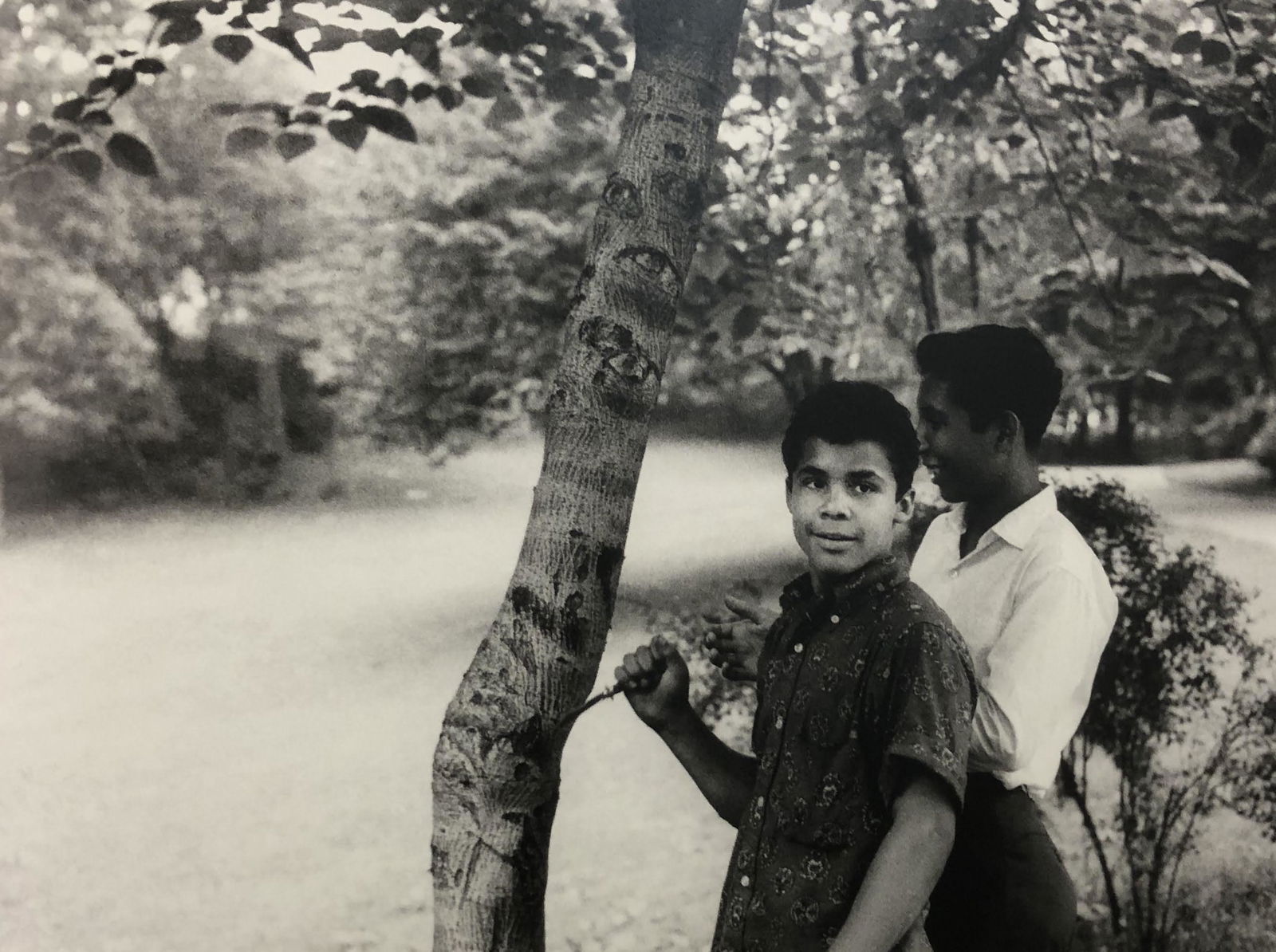 Bruce Davidsons - Central Park, Photo-Litho: BRUCE DAVIDSON - (B. 1946) Central Park Photo-Litho Printed circa later third quarter 20th century 6 3/8" x 9 5/8" (Image Size)