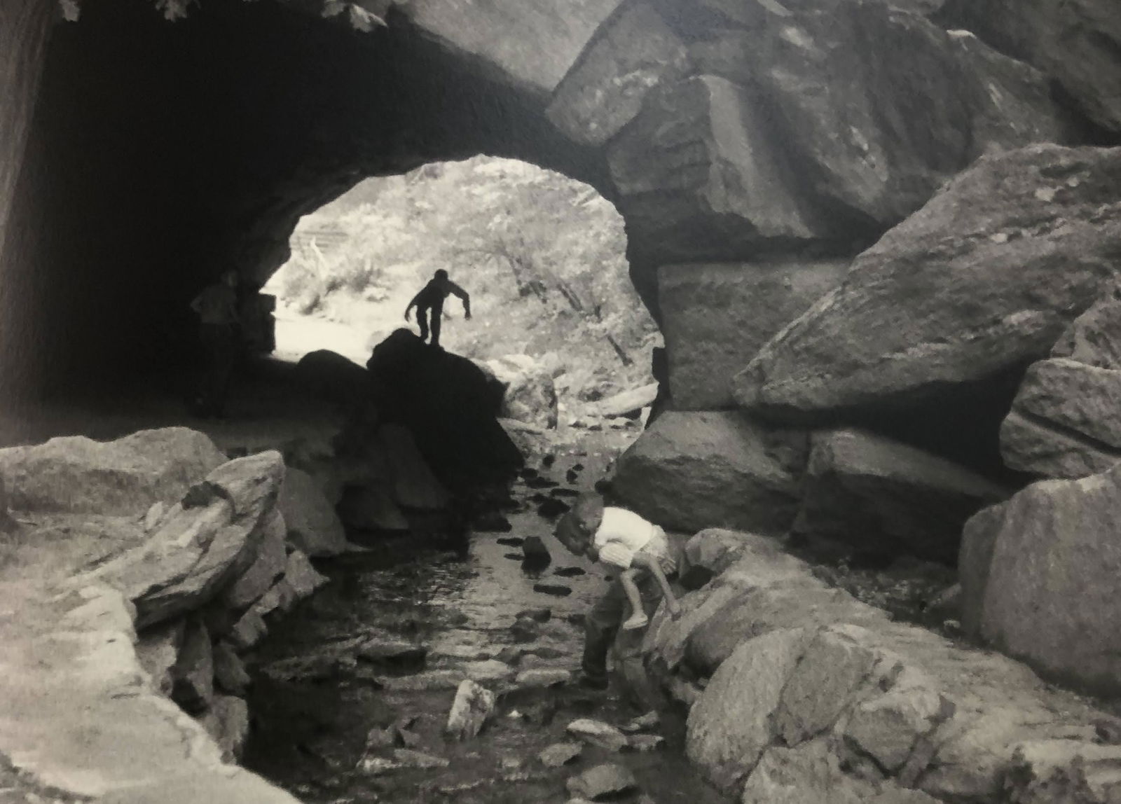 Bruce Davidsons - Central Park, Photo-Litho: BRUCE DAVIDSON - (B. 1946) Central Park Photo-Litho Printed circa later third quarter 20th century 6 3/8" x 9 5/8" (Image Size)