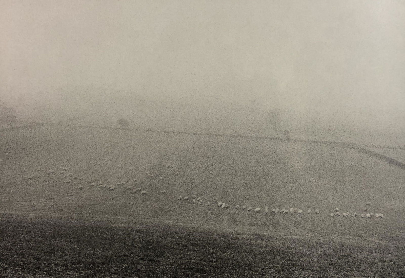 Bruce Davidsons - England/Scotland, Photo-Litho: BRUCE DAVIDSON - (B. 1946) England/Scotland Photo-Litho Printed circa later third quarter 20th century 6 3/8" x 9 5/8" (Image Size)