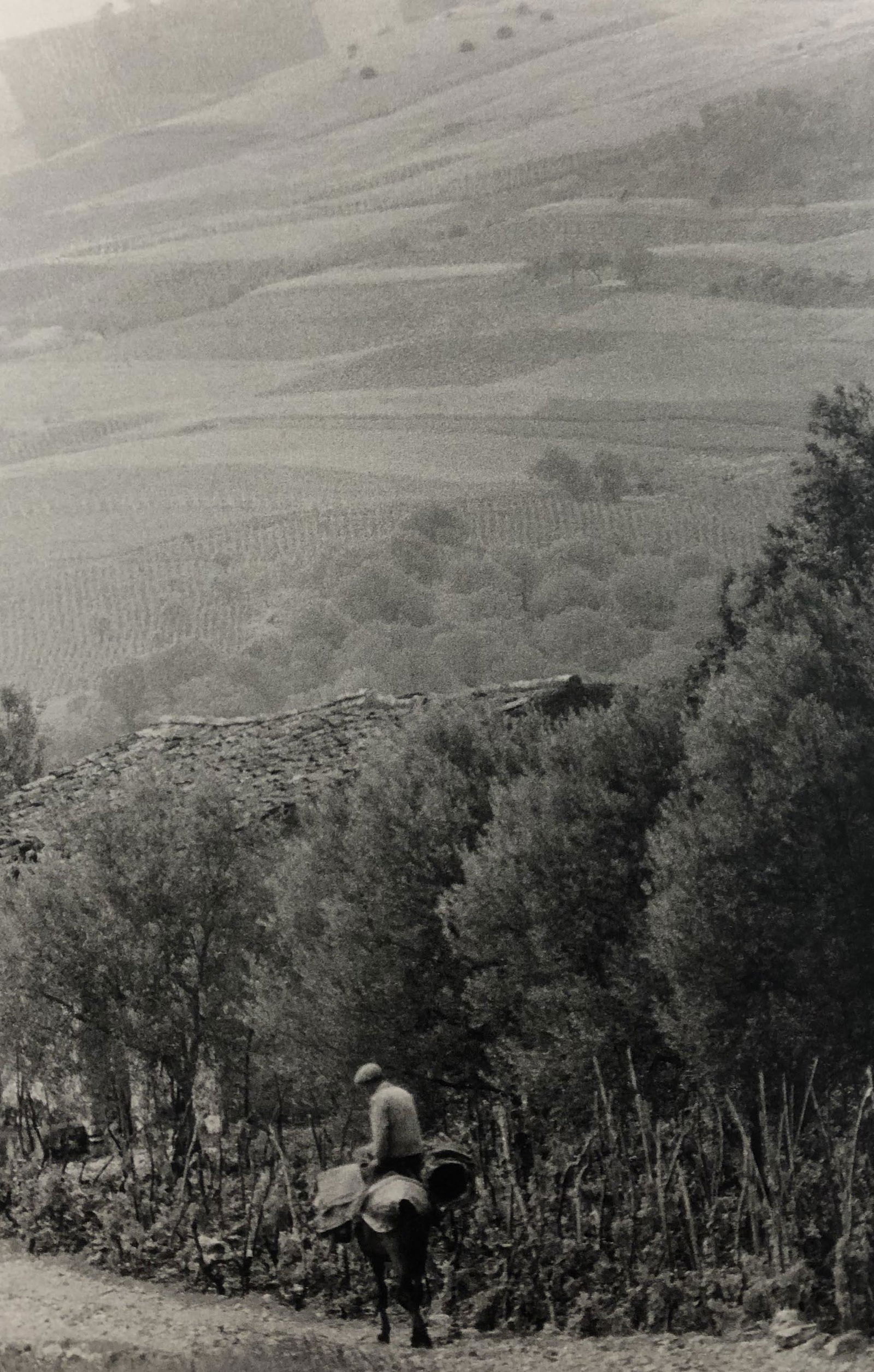 Bruce Davidsons - Sicily, Photo-Litho: BRUCE DAVIDSON - (B. 1946) Sicily Photo-Litho Printed circa later third quarter 20th century 9 1/8" x 6 1/8" (Image Size)