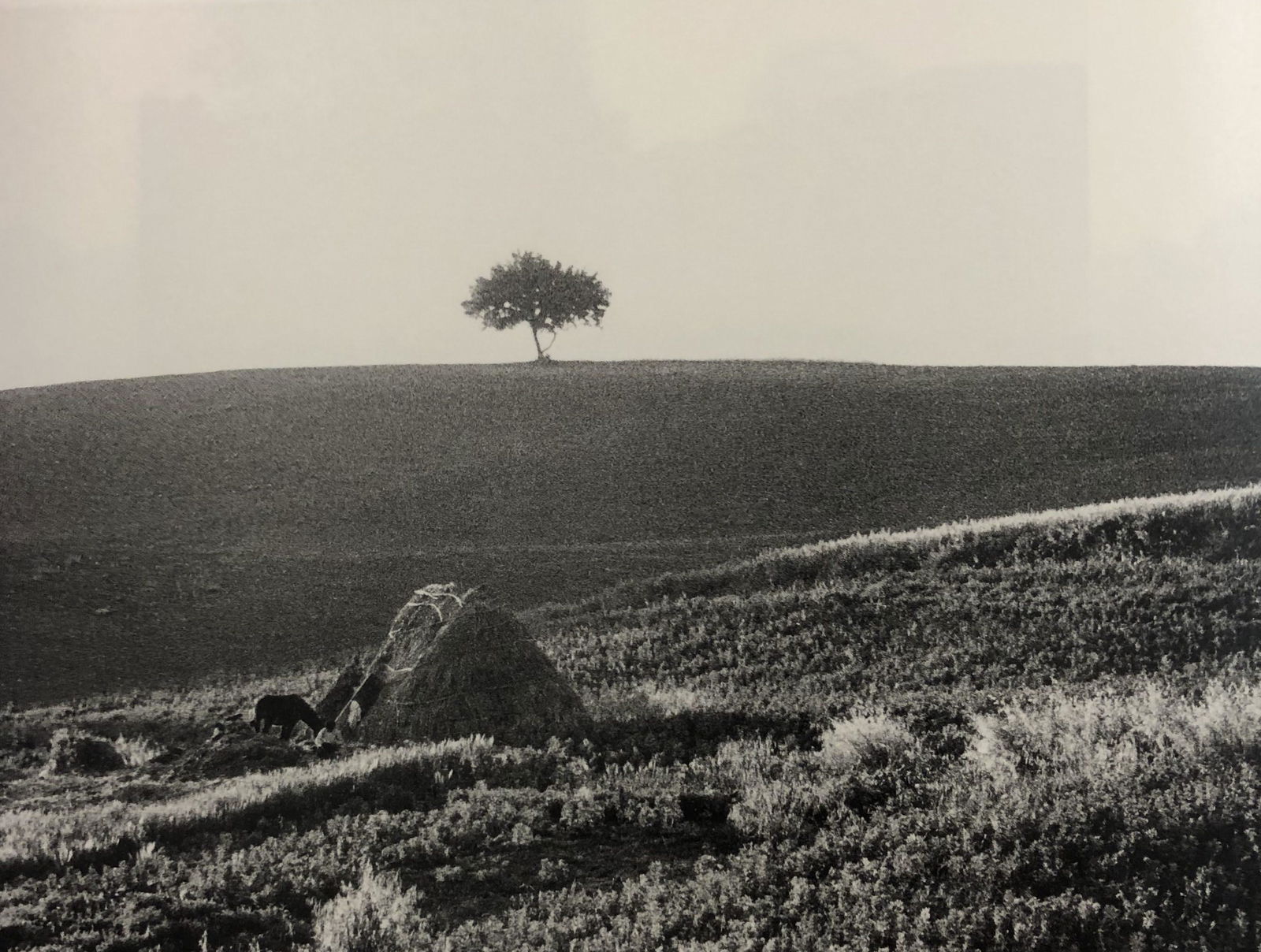 Bruce Davidsons - Sicily, Photo-Litho: BRUCE DAVIDSON - (B. 1946) Sicily Photo-Litho Printed circa later third quarter 20th century 6 3/8" x 9 5/8" (Image Size)