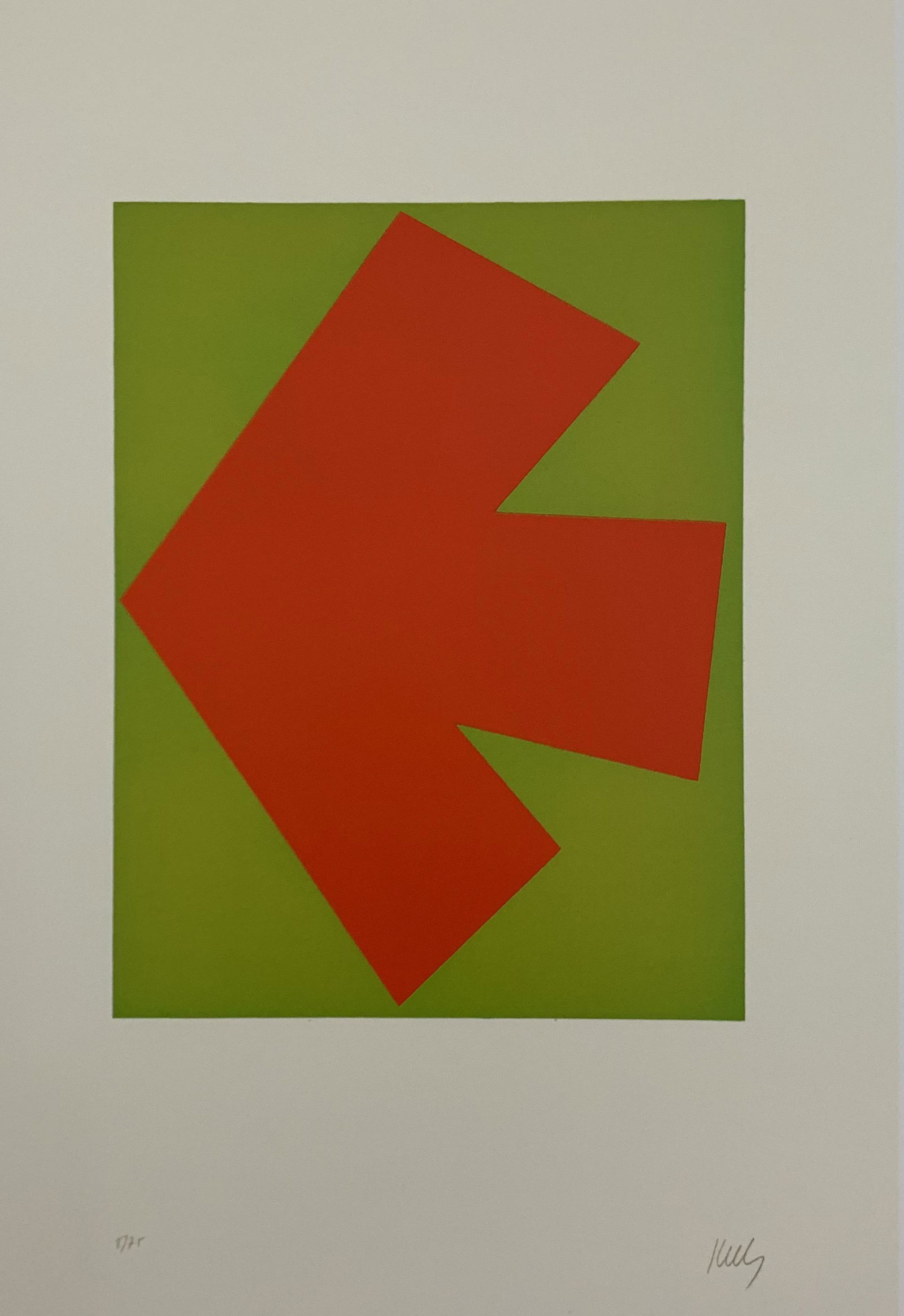 Ellsworth Kelly - Orange, Colored Offset-lithograph (1 of 1)