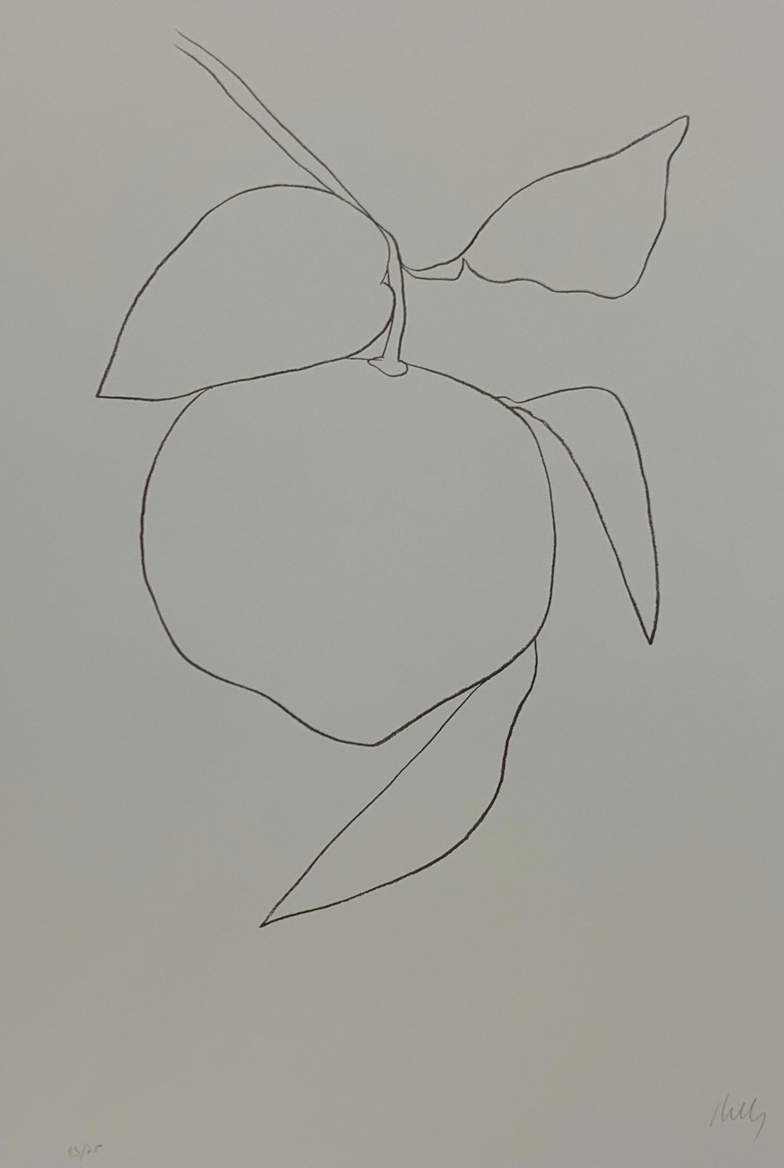 Ellsworth Kelly - Grapefruit, Colored Offset-litho (1 of 1)